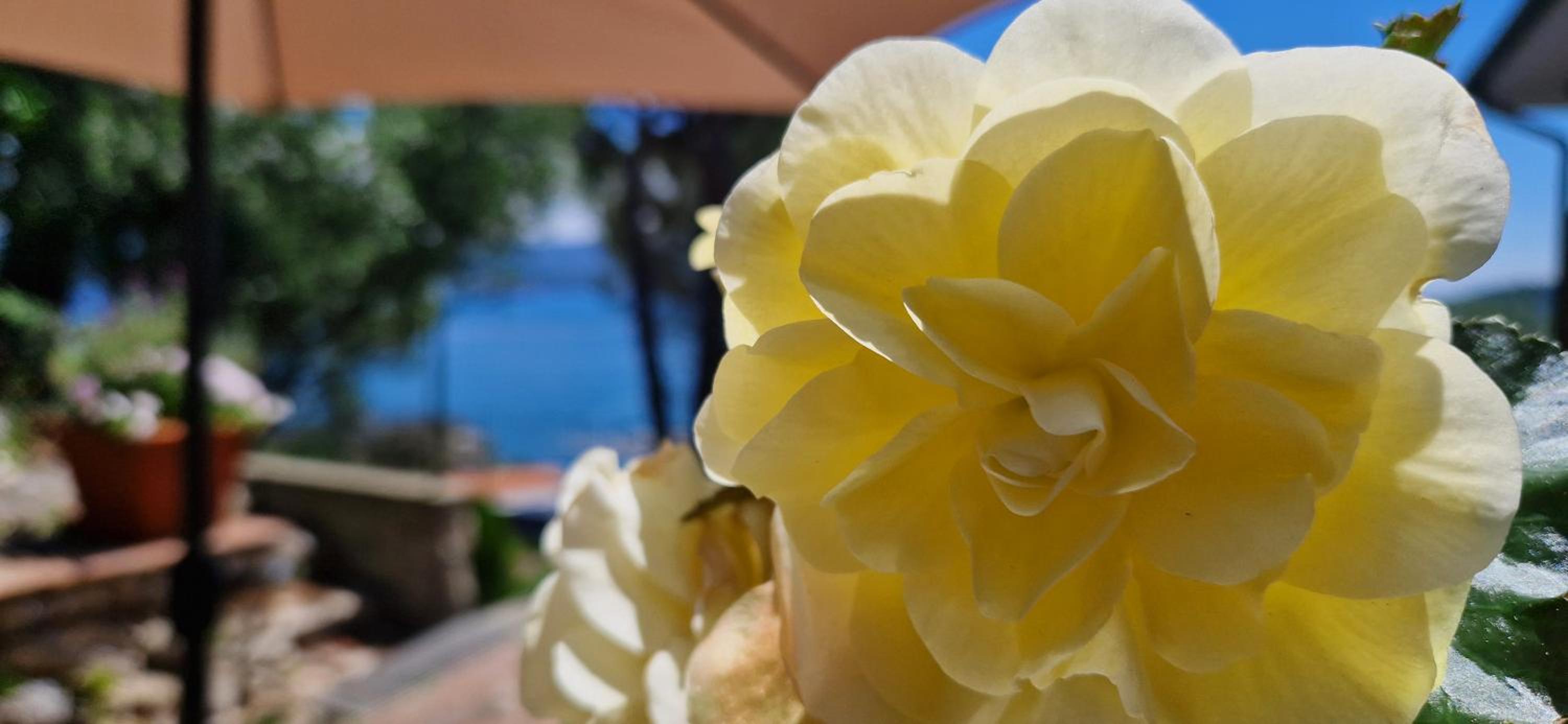 VillaMara Luxury rooms