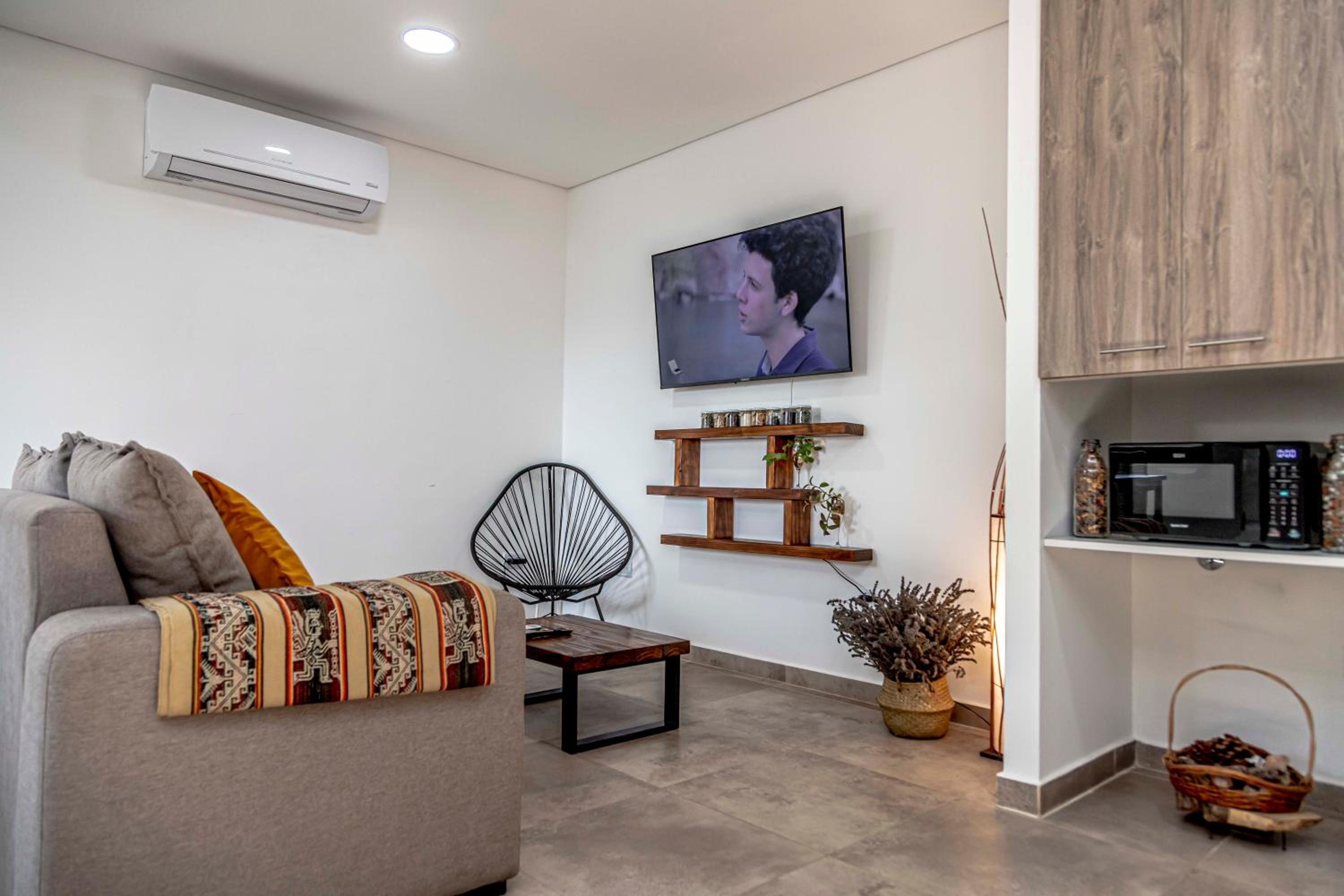 Oasis Andino