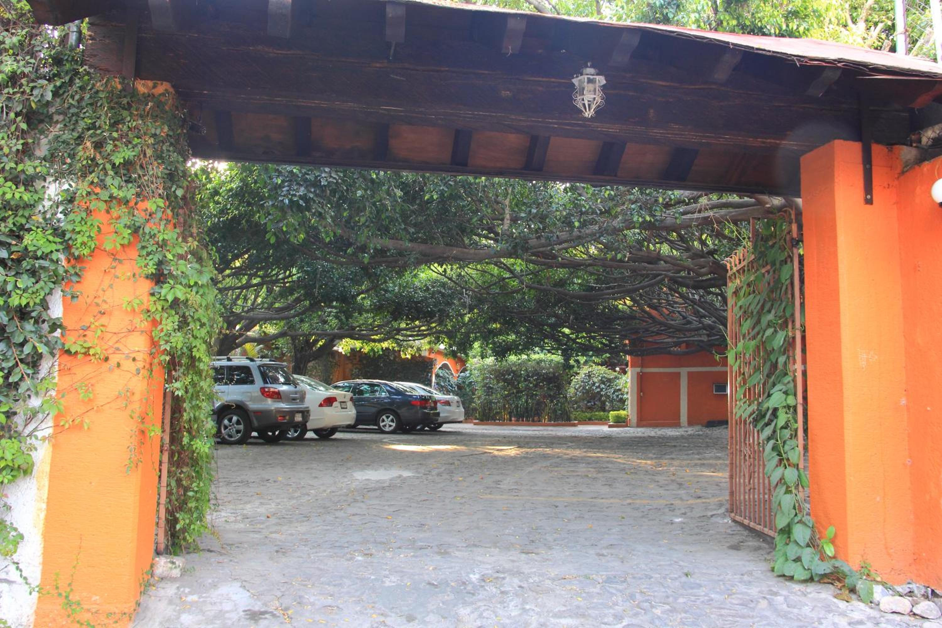 Photo 40