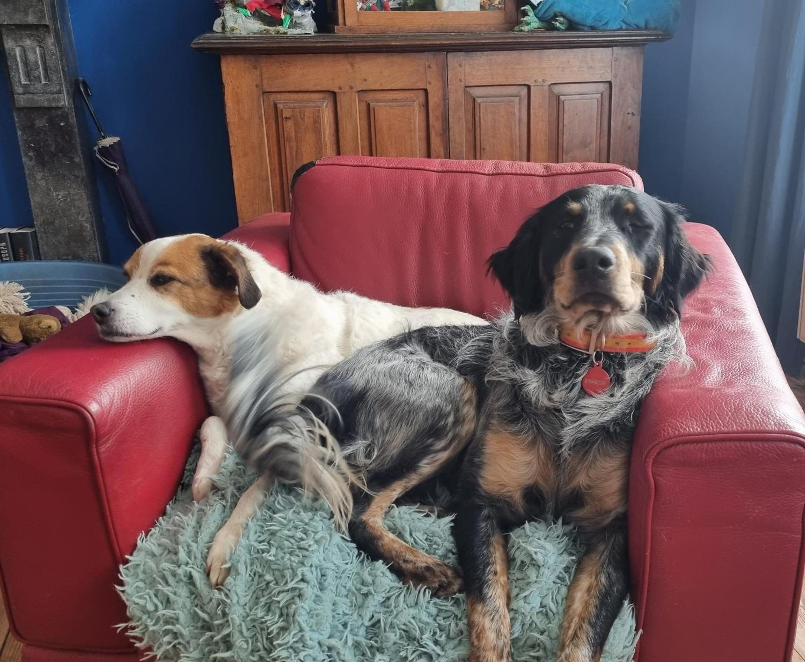 Staying with the artist