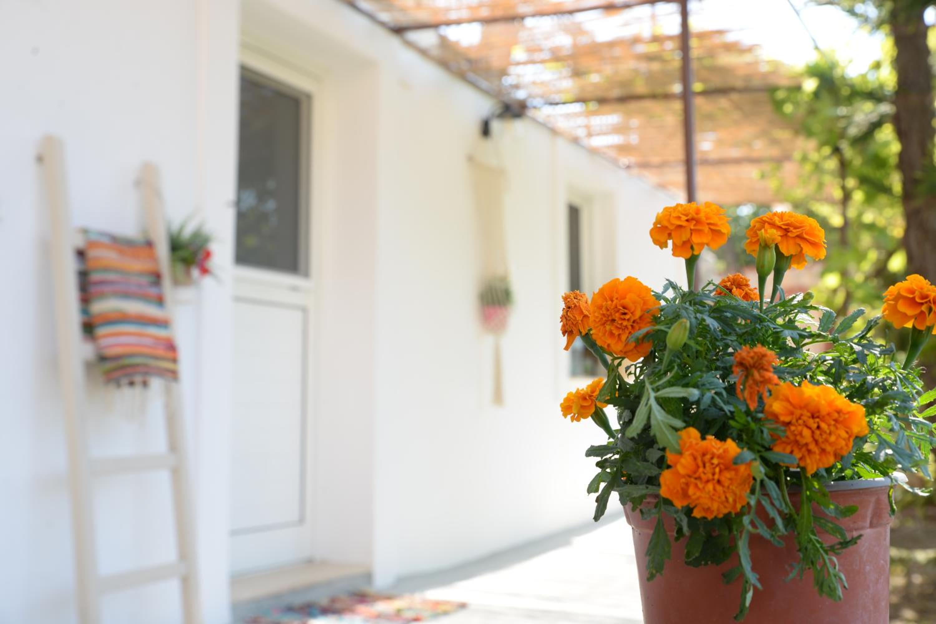 Myrtus Guest House