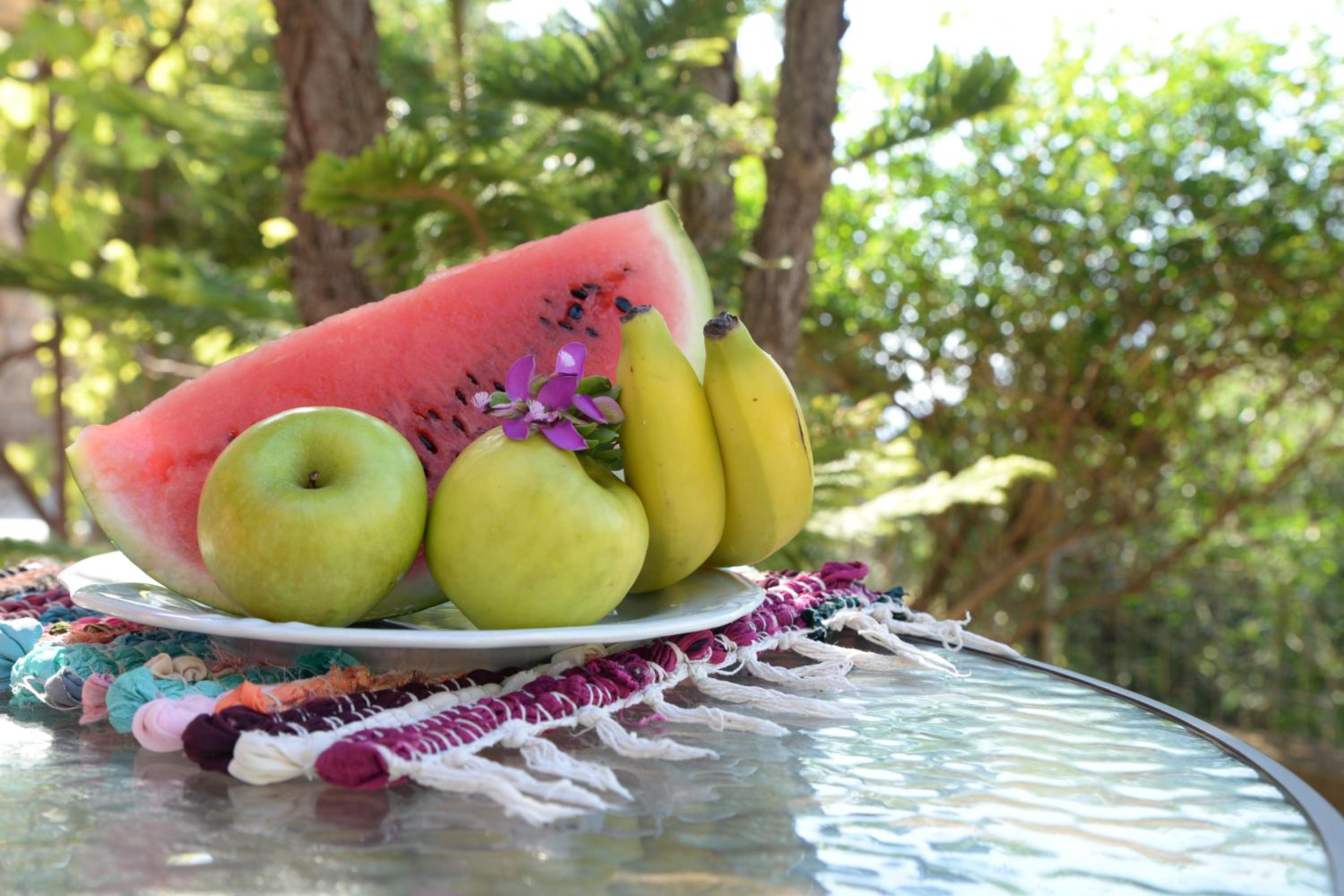 Myrtus Guest House
