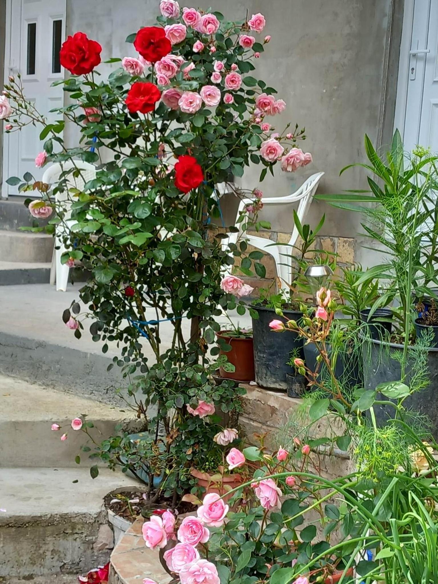 Apartman Turkana 2