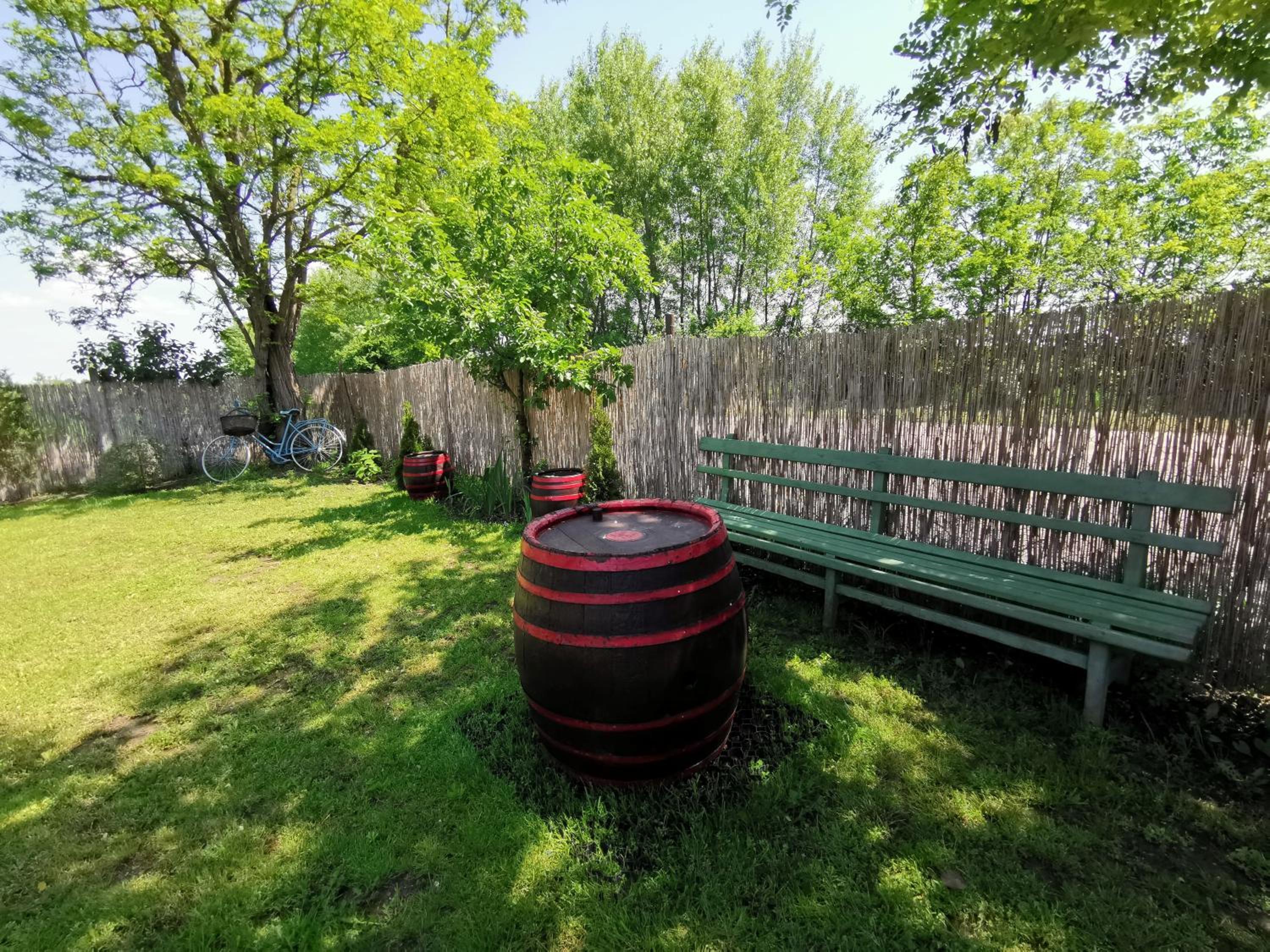 Photo 40
