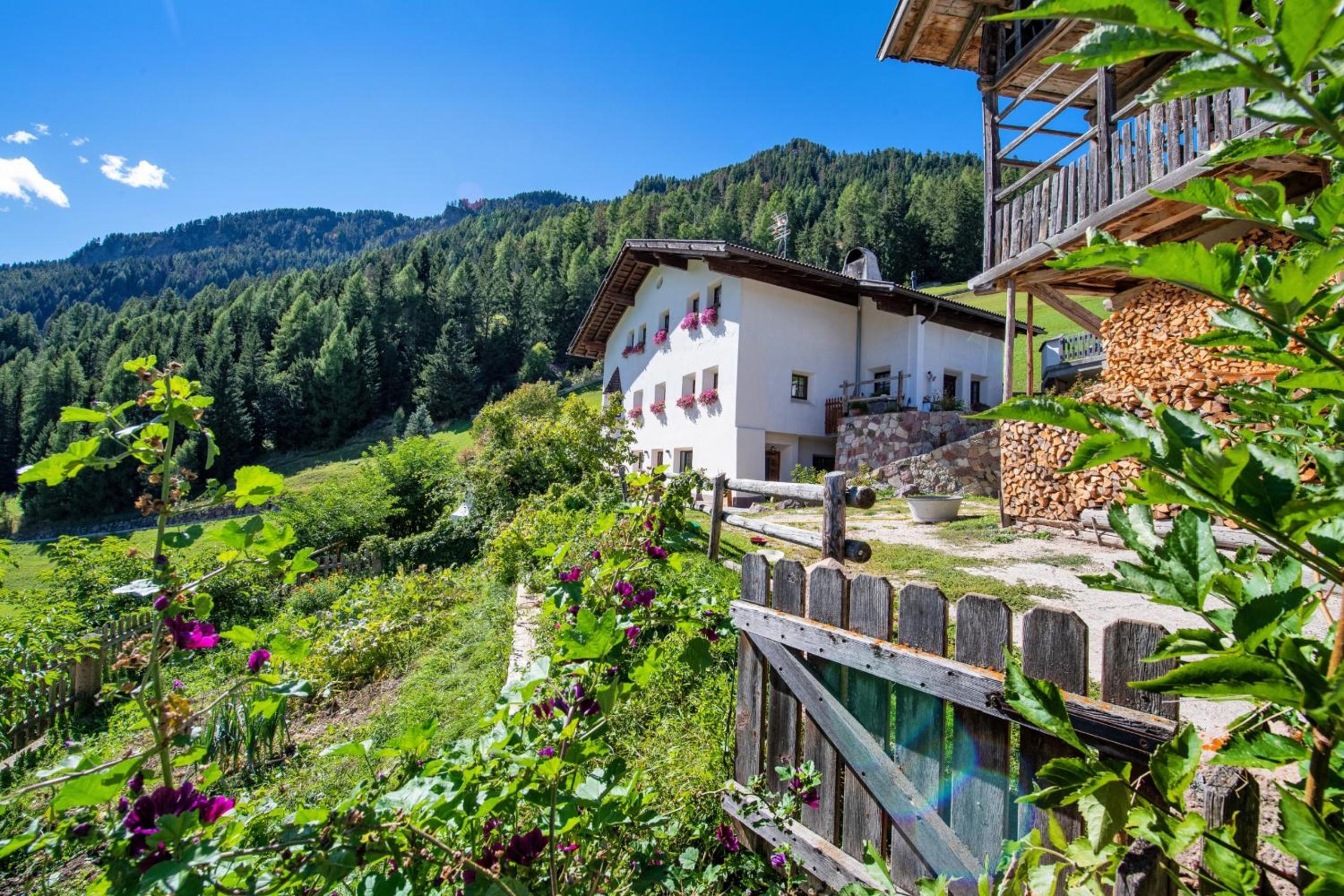 Agriturismo Apartments Tuene