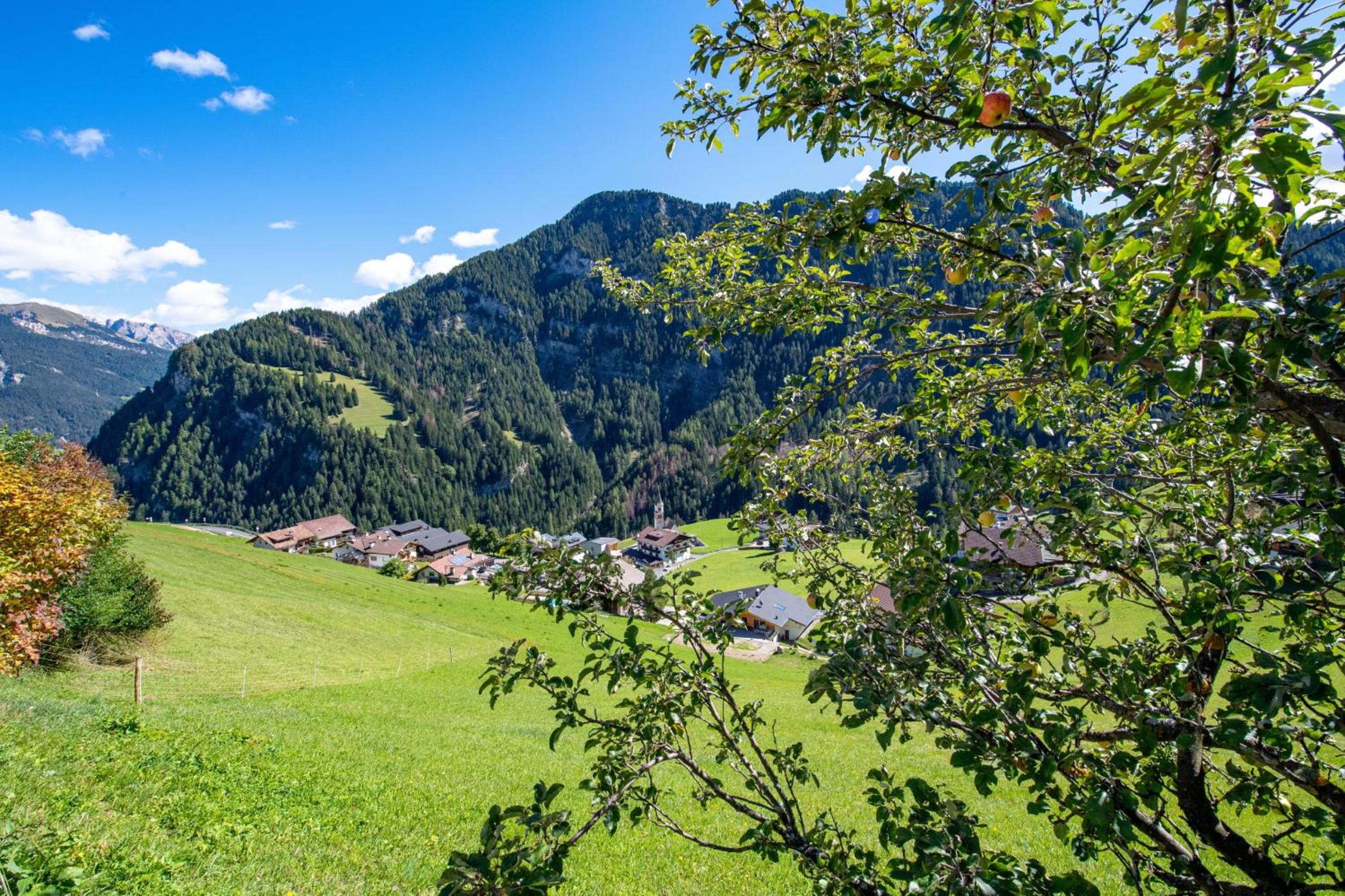 Agriturismo Apartments Tuene