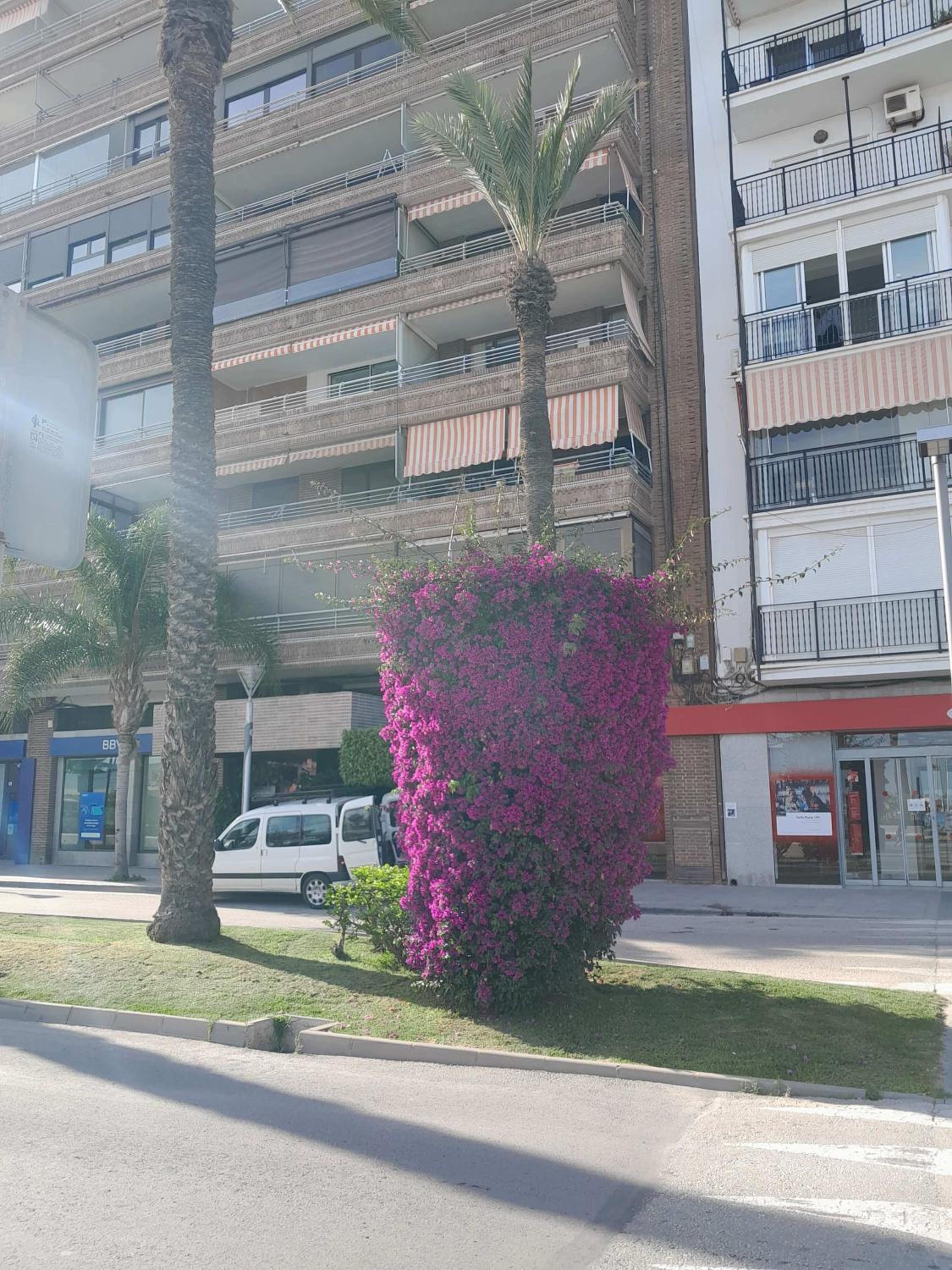 Stylowy Apartament Harmonia Playa del Cura, Hiszpania