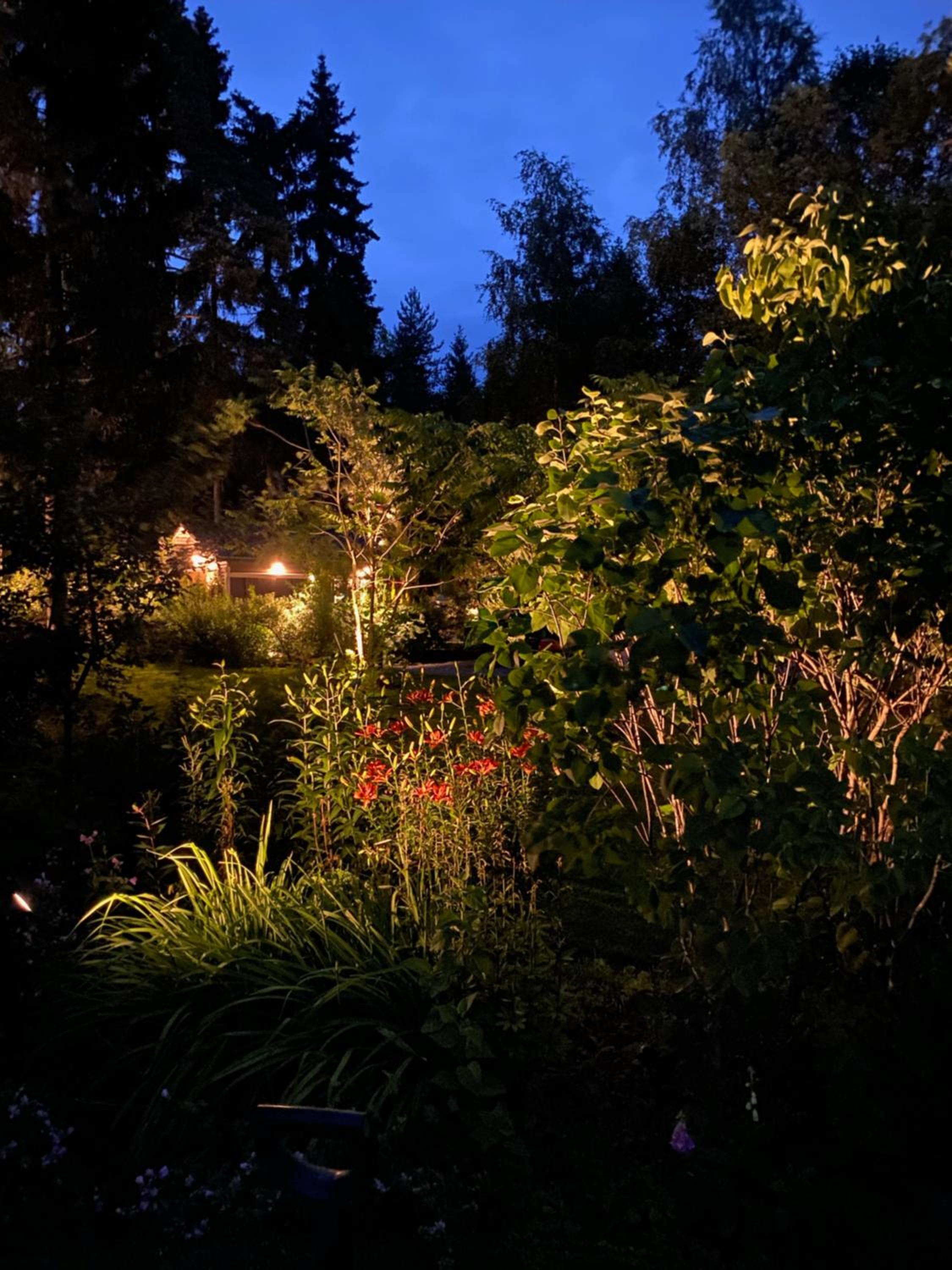Kodikas vapaa-ajan asunto Päijänteen rannalla