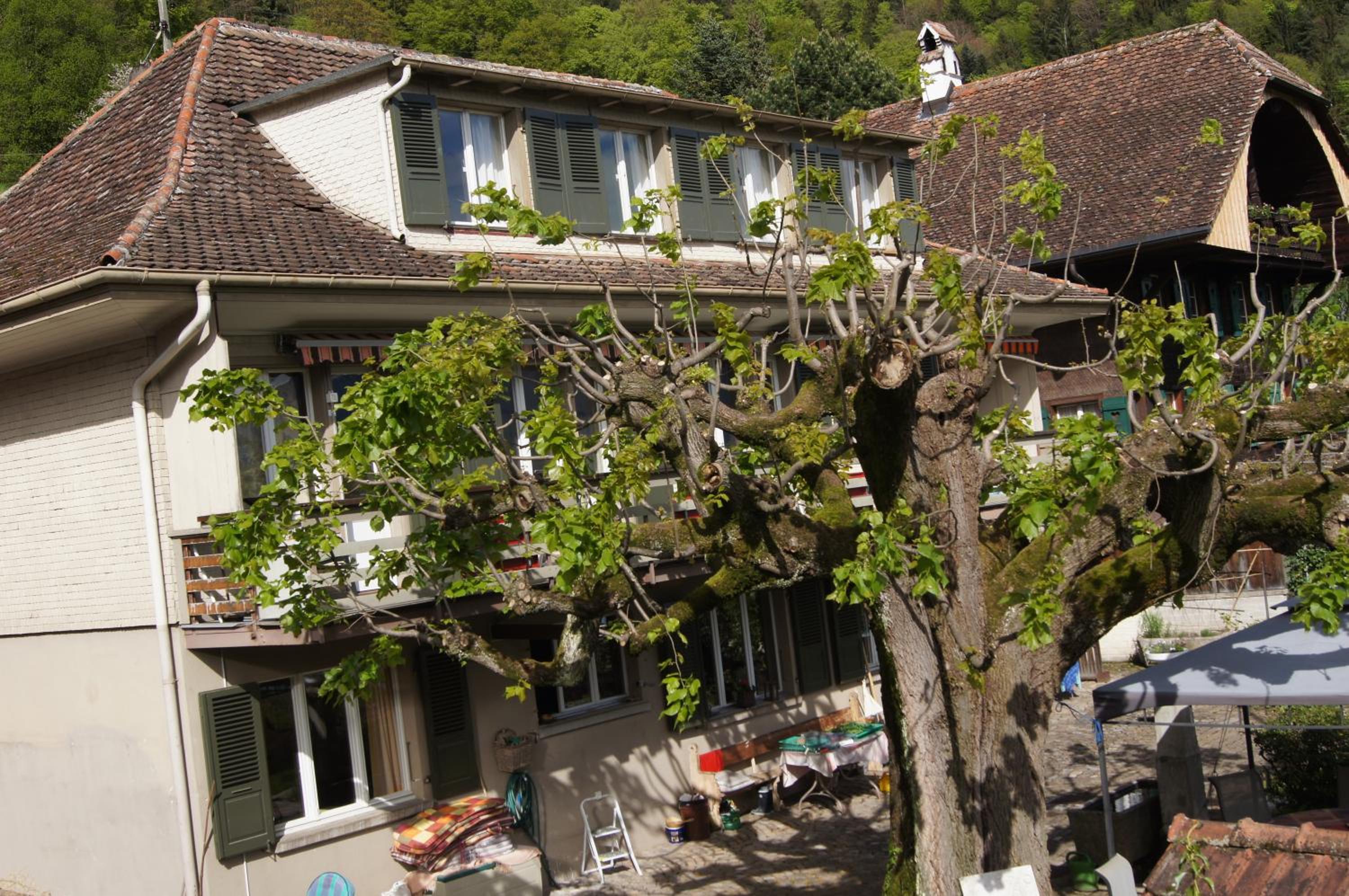 B&B Schönörtli