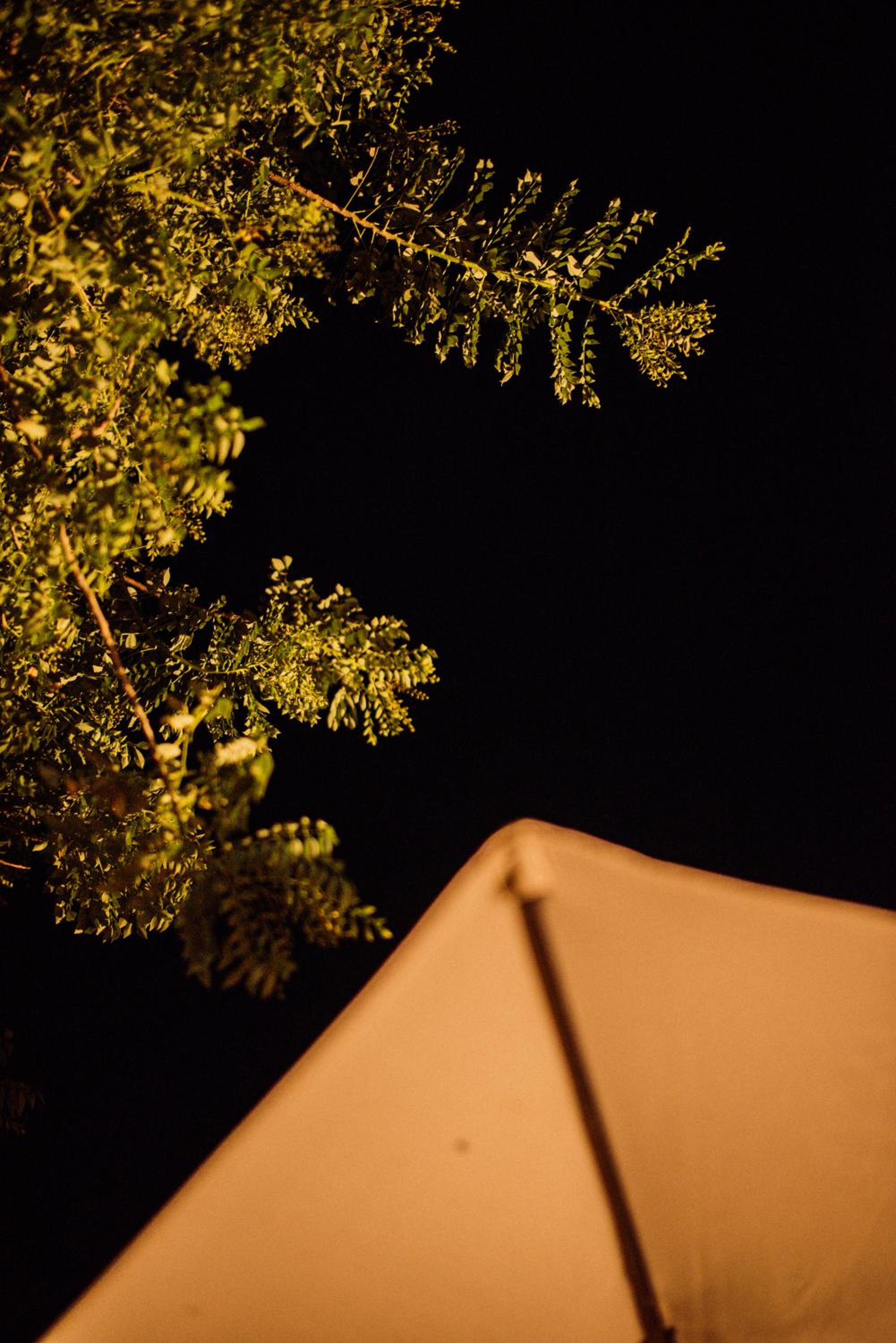Glamping Sunset Hill Salamina-Caldas