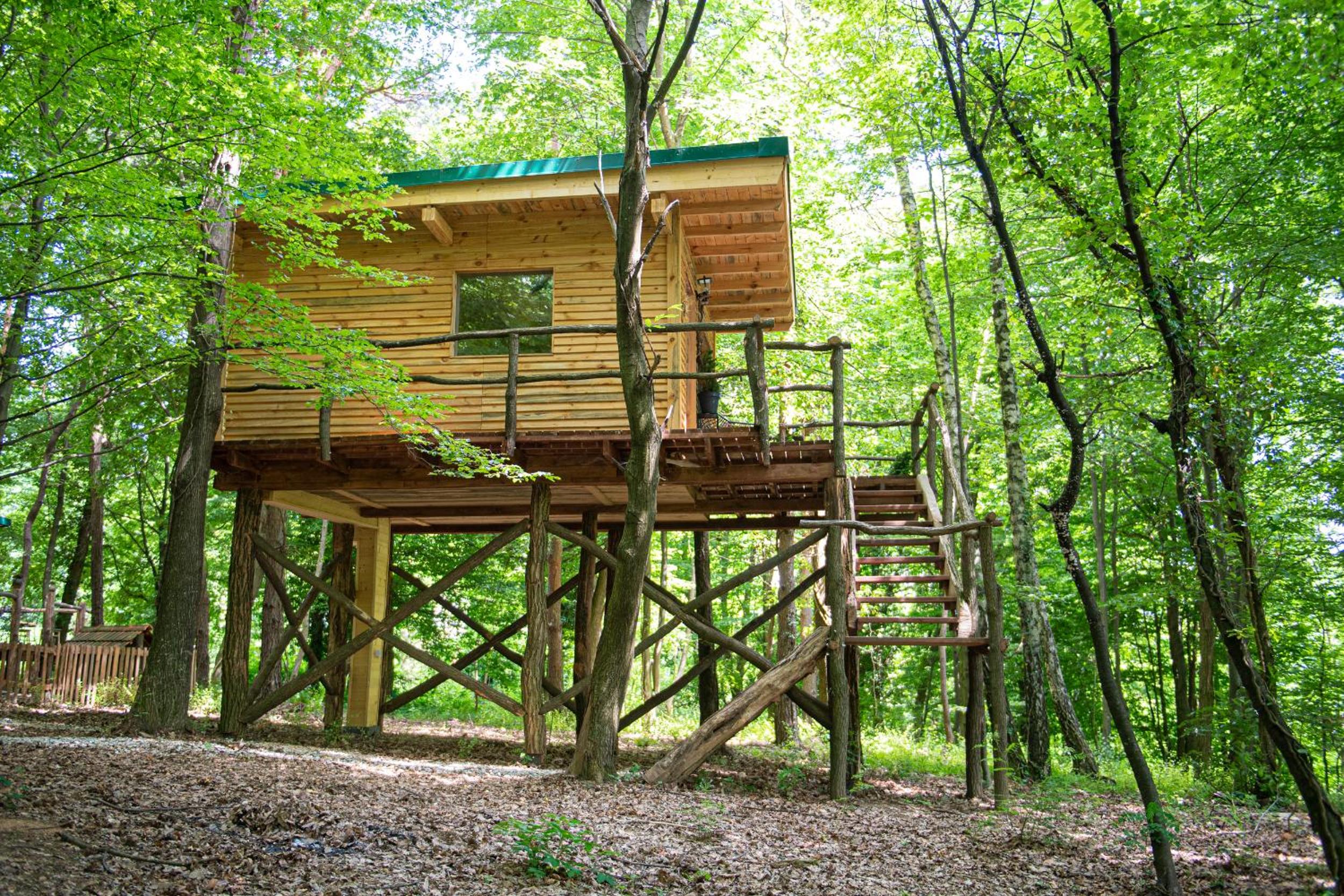 Living Forest Resort