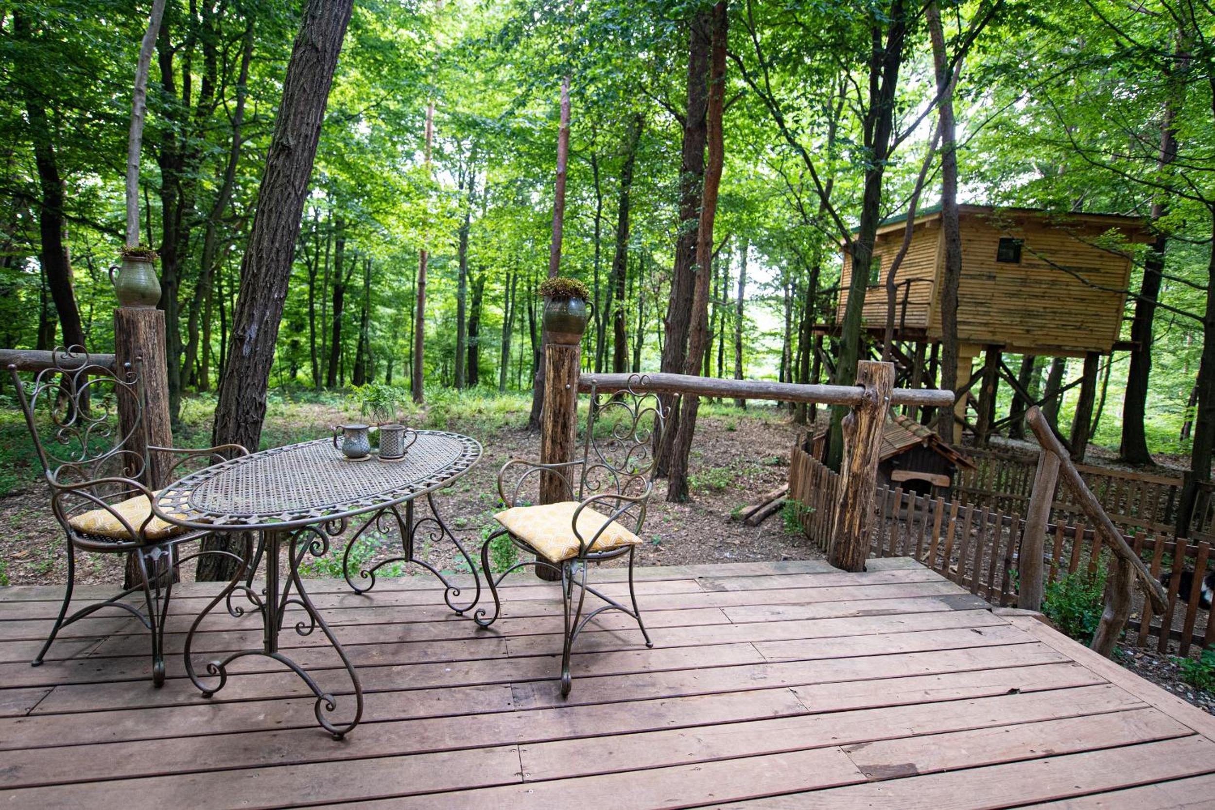 Living Forest Resort