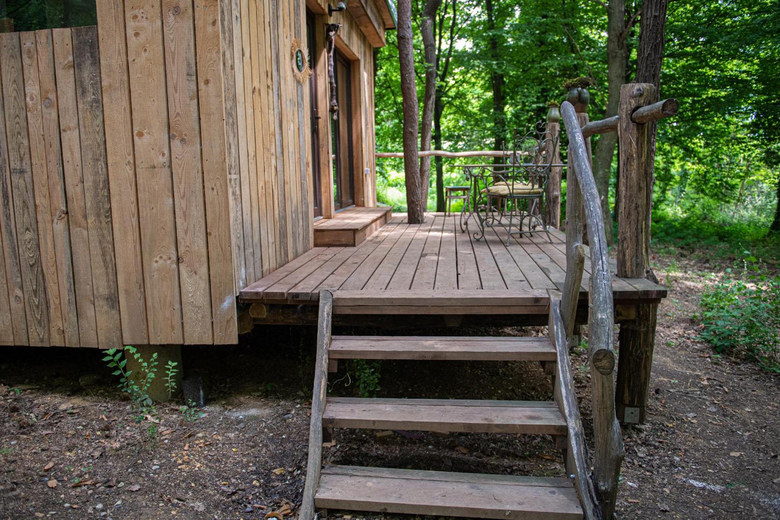 Living Forest Resort