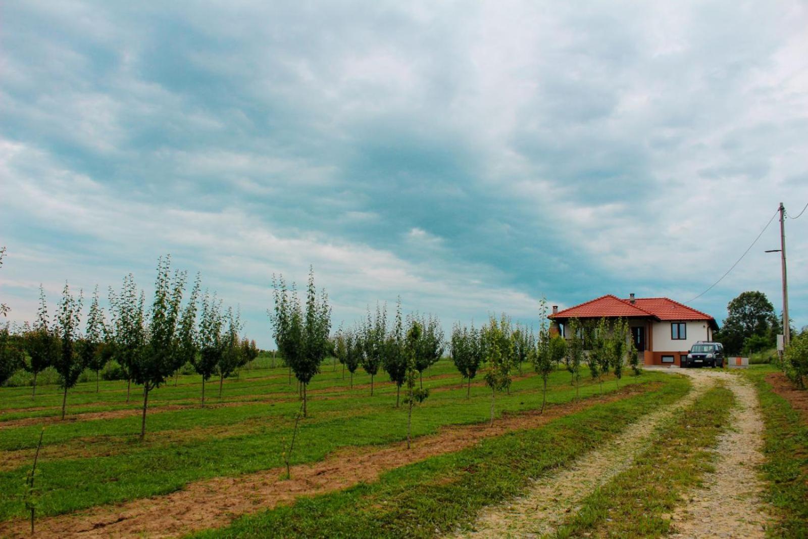 Villa Sladjana