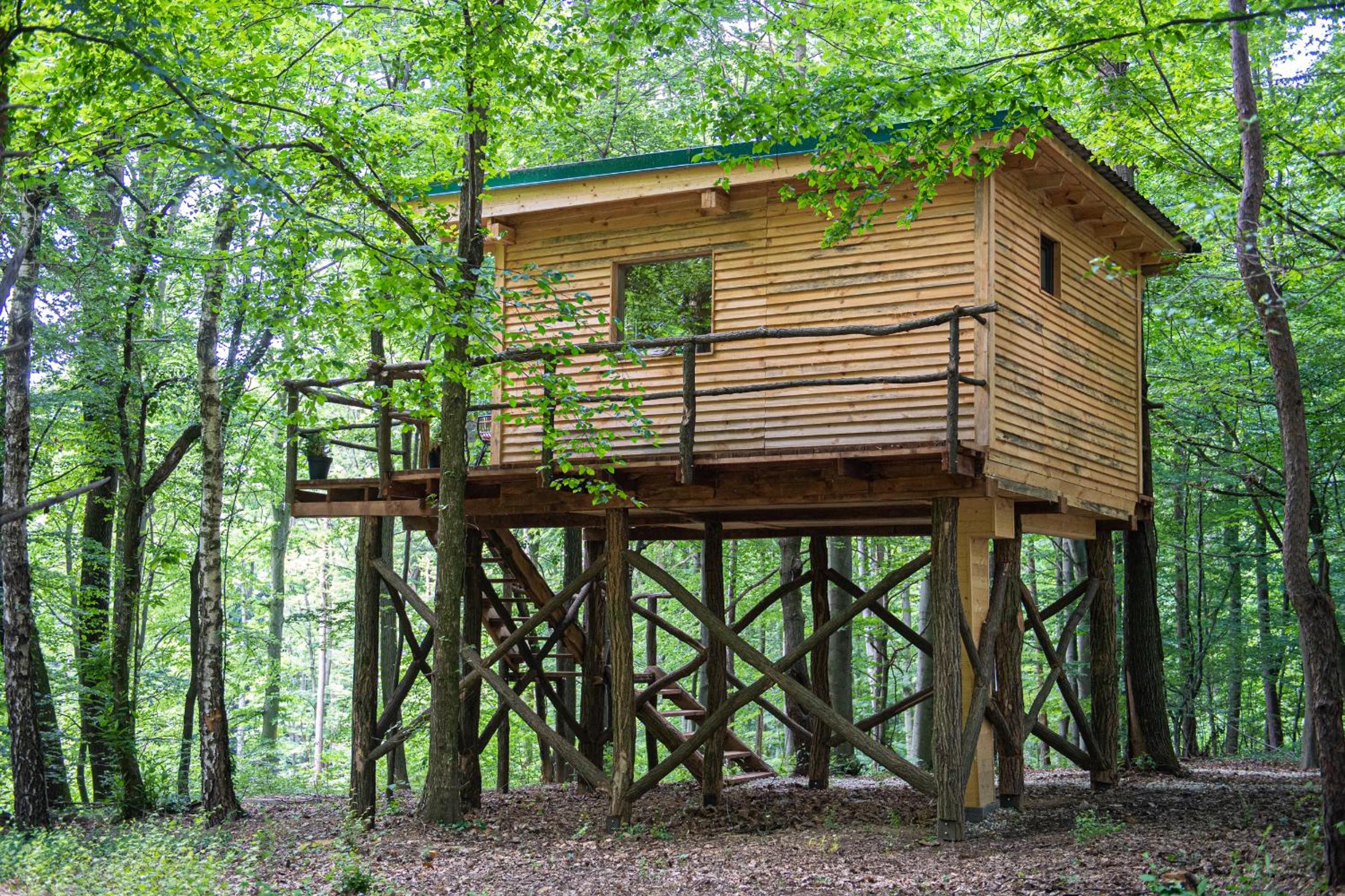 Living Forest Resort