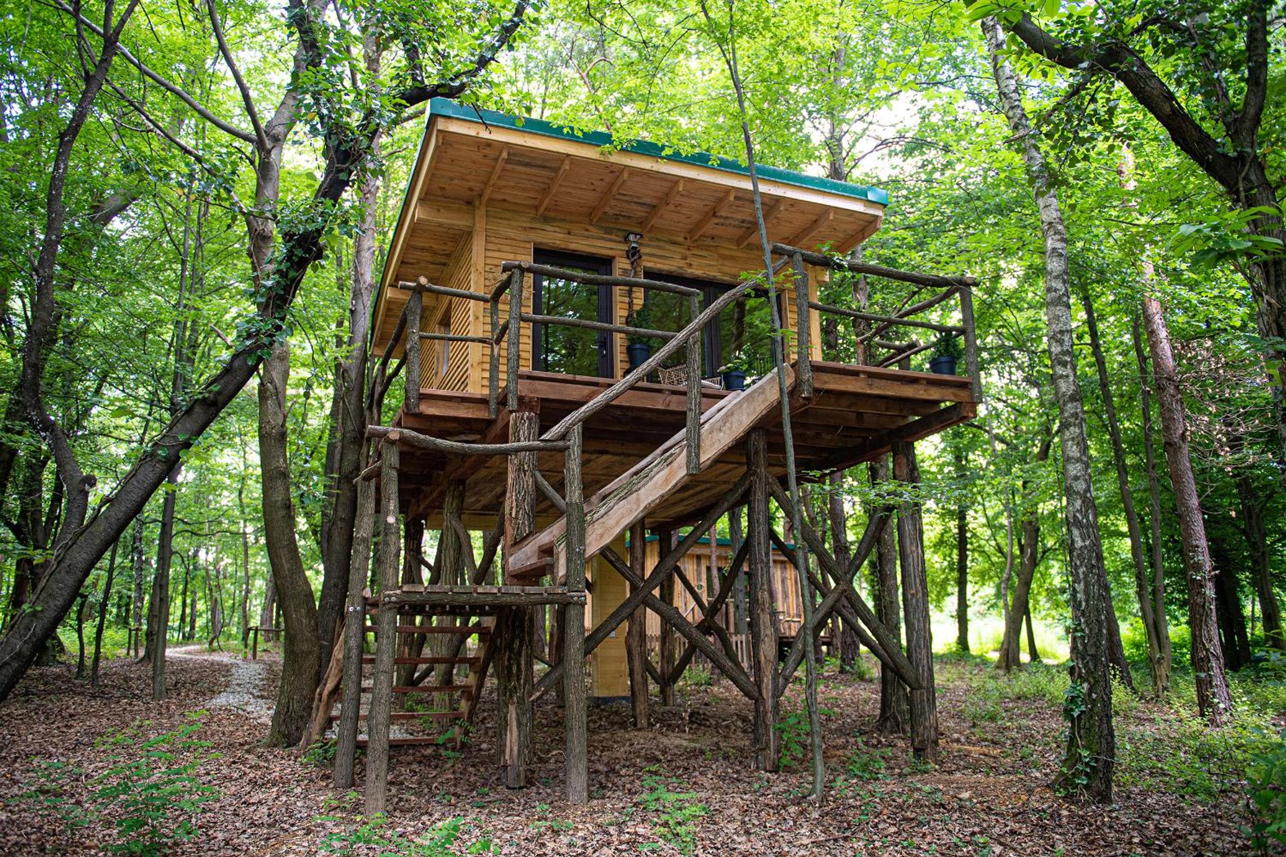 Living Forest Resort