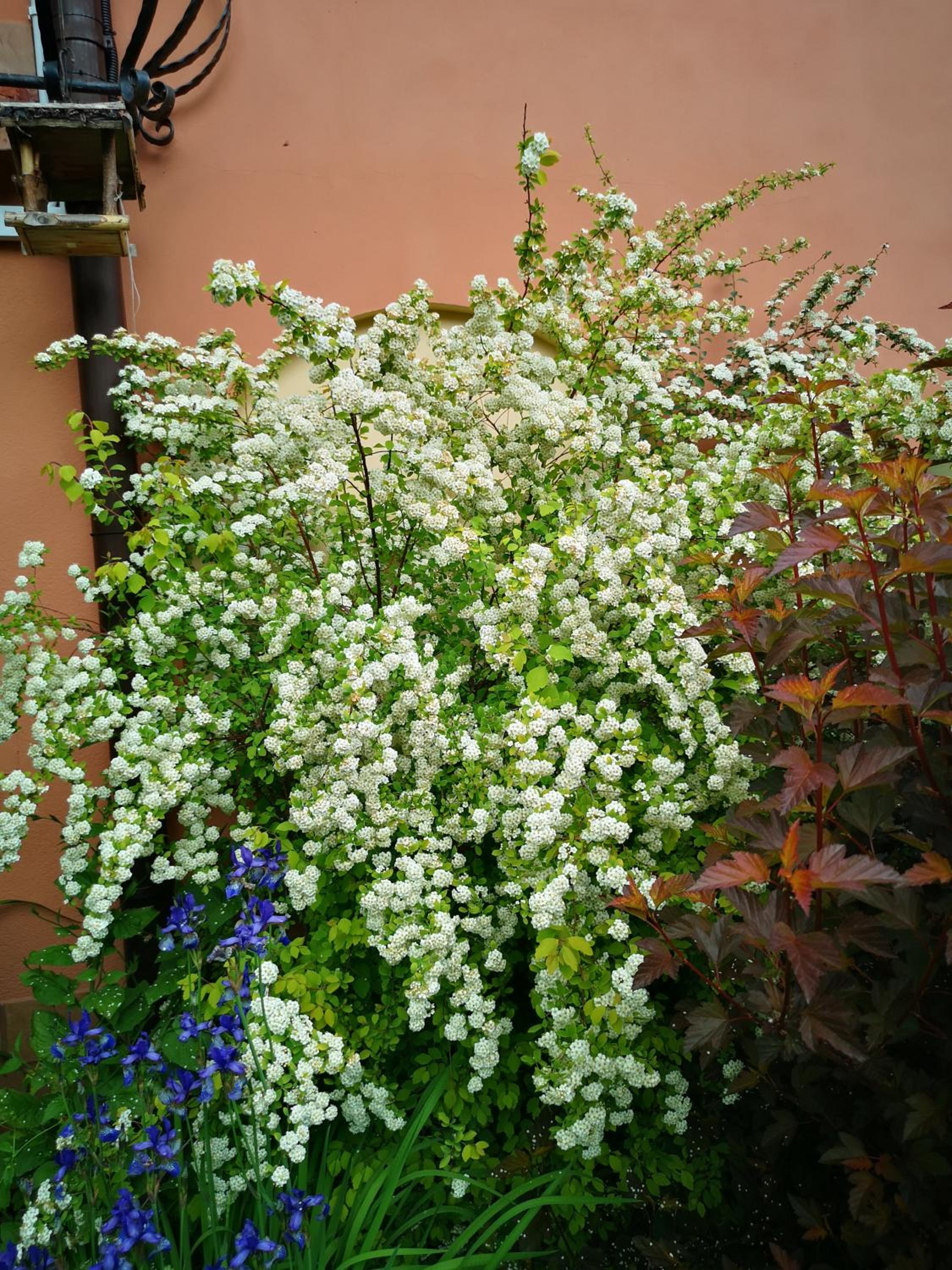 Photo 31
