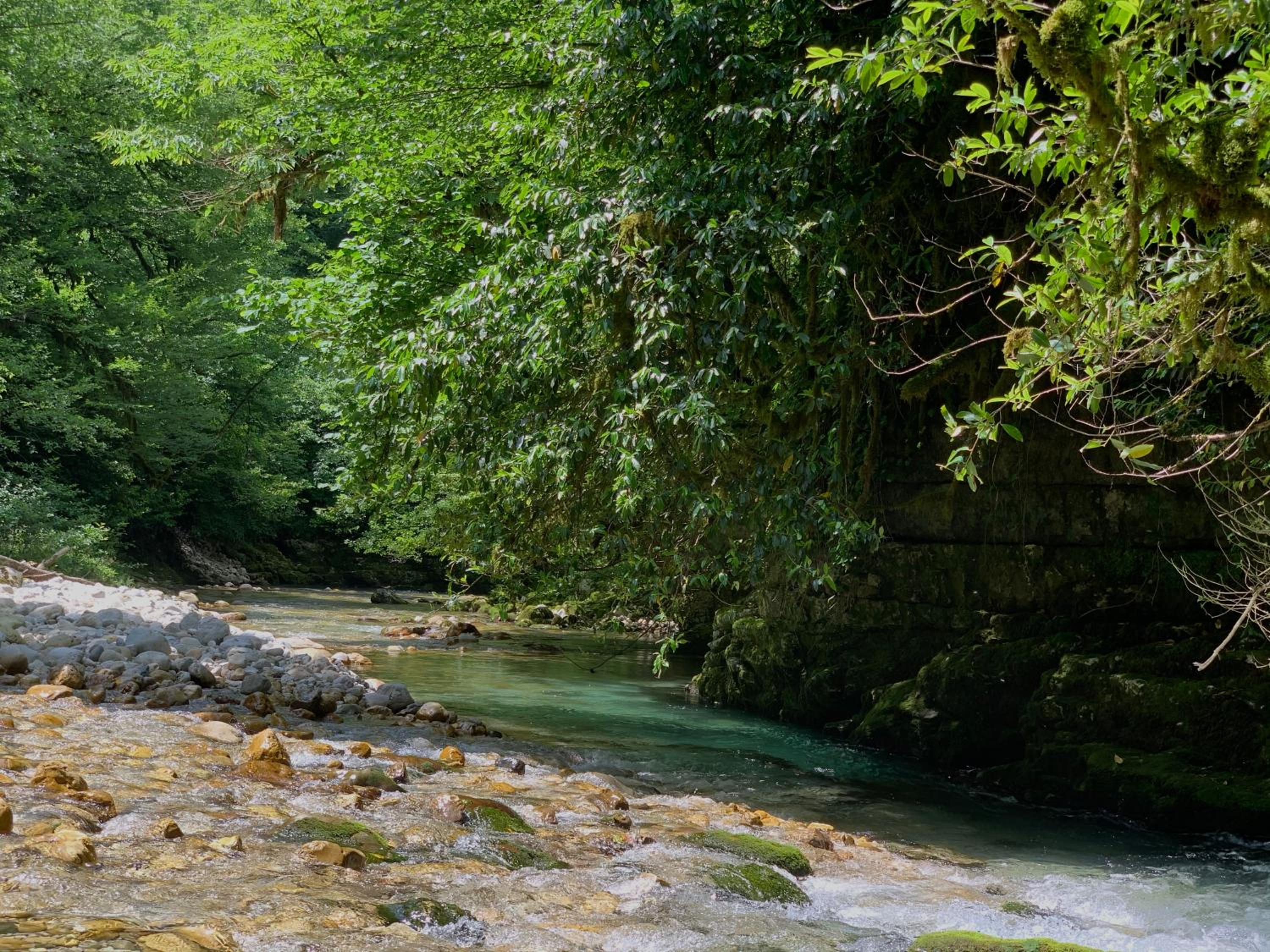 Nahei Cottage Martvili