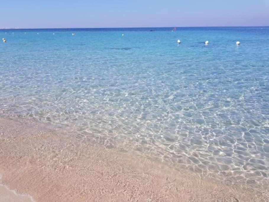 Attico con terrazzo Gallipoli