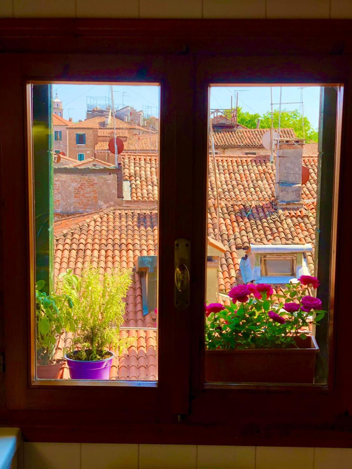 Garibaldi suite