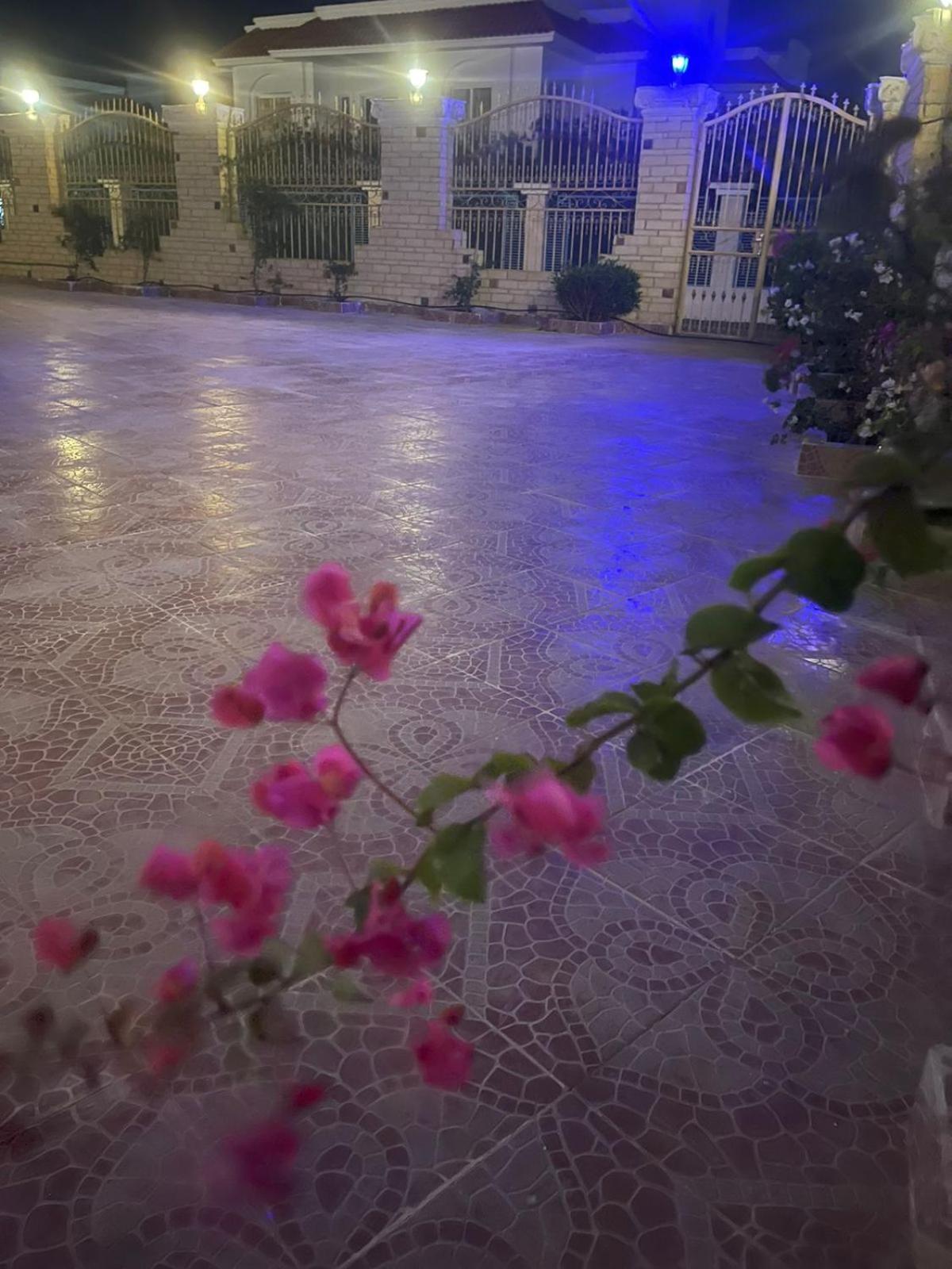 Classic House Dahab