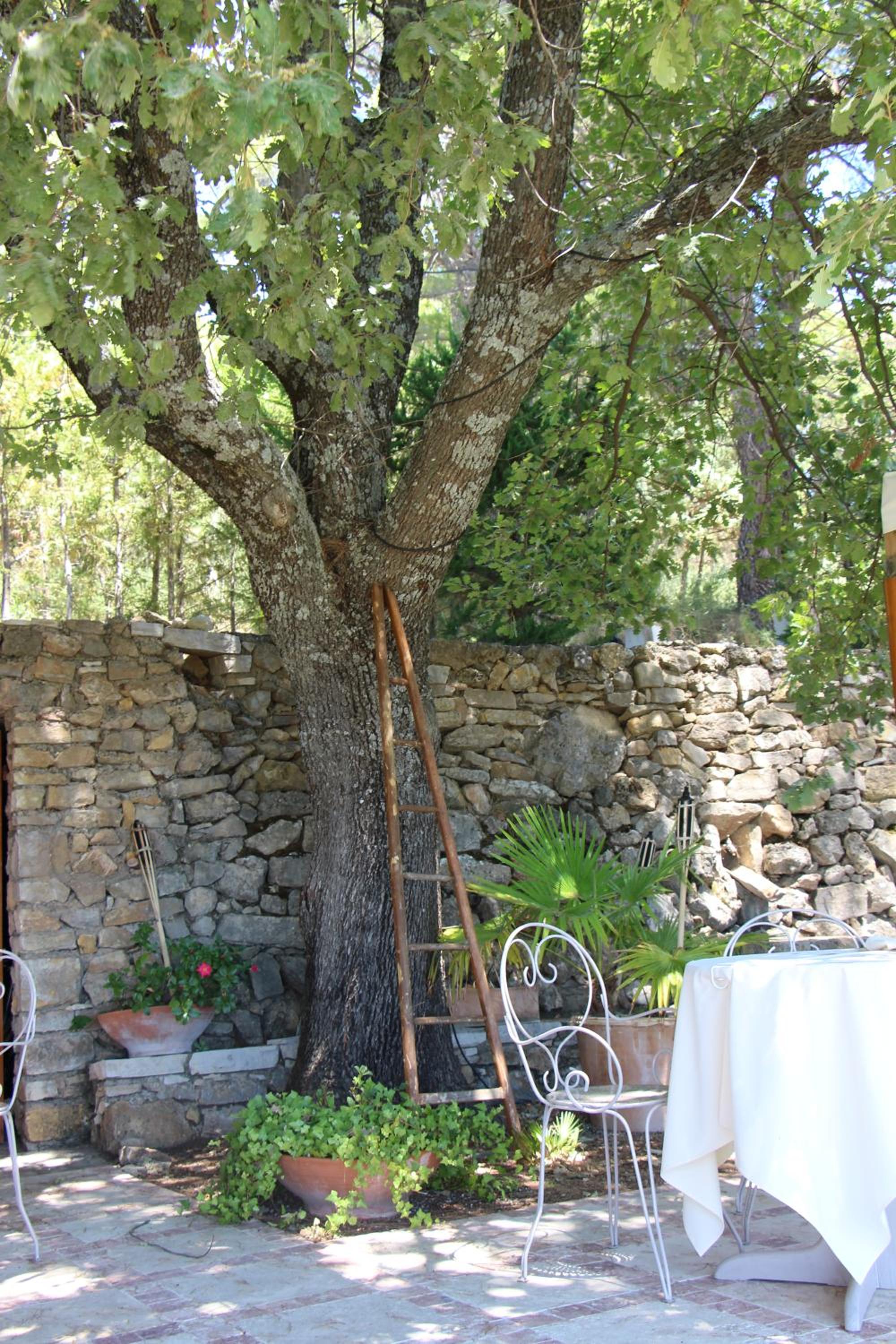 outdoor BBQ area