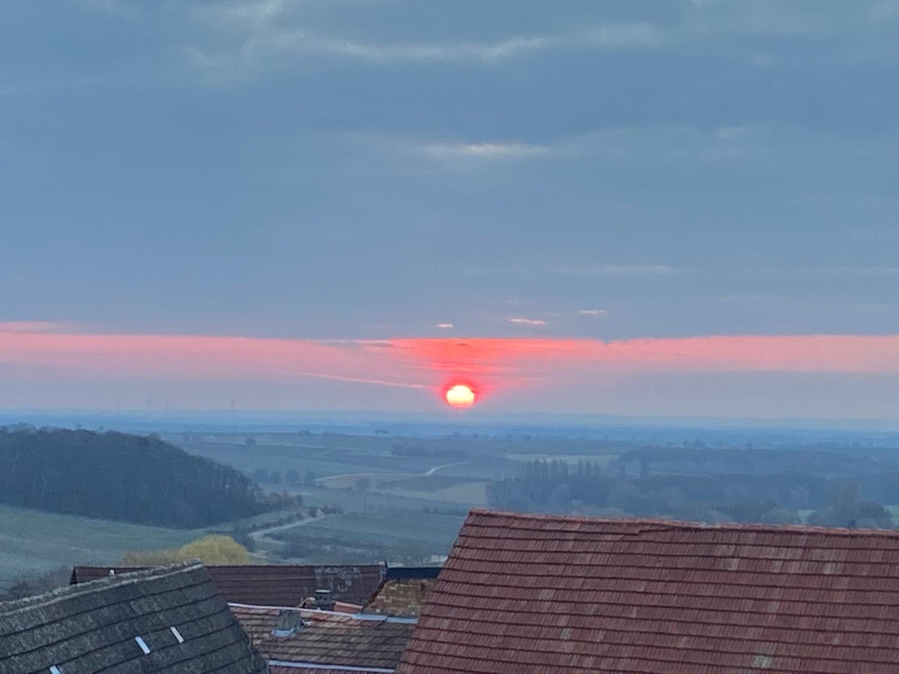 Atelier de Pfalz-Loftstyl mit Pfalzblick