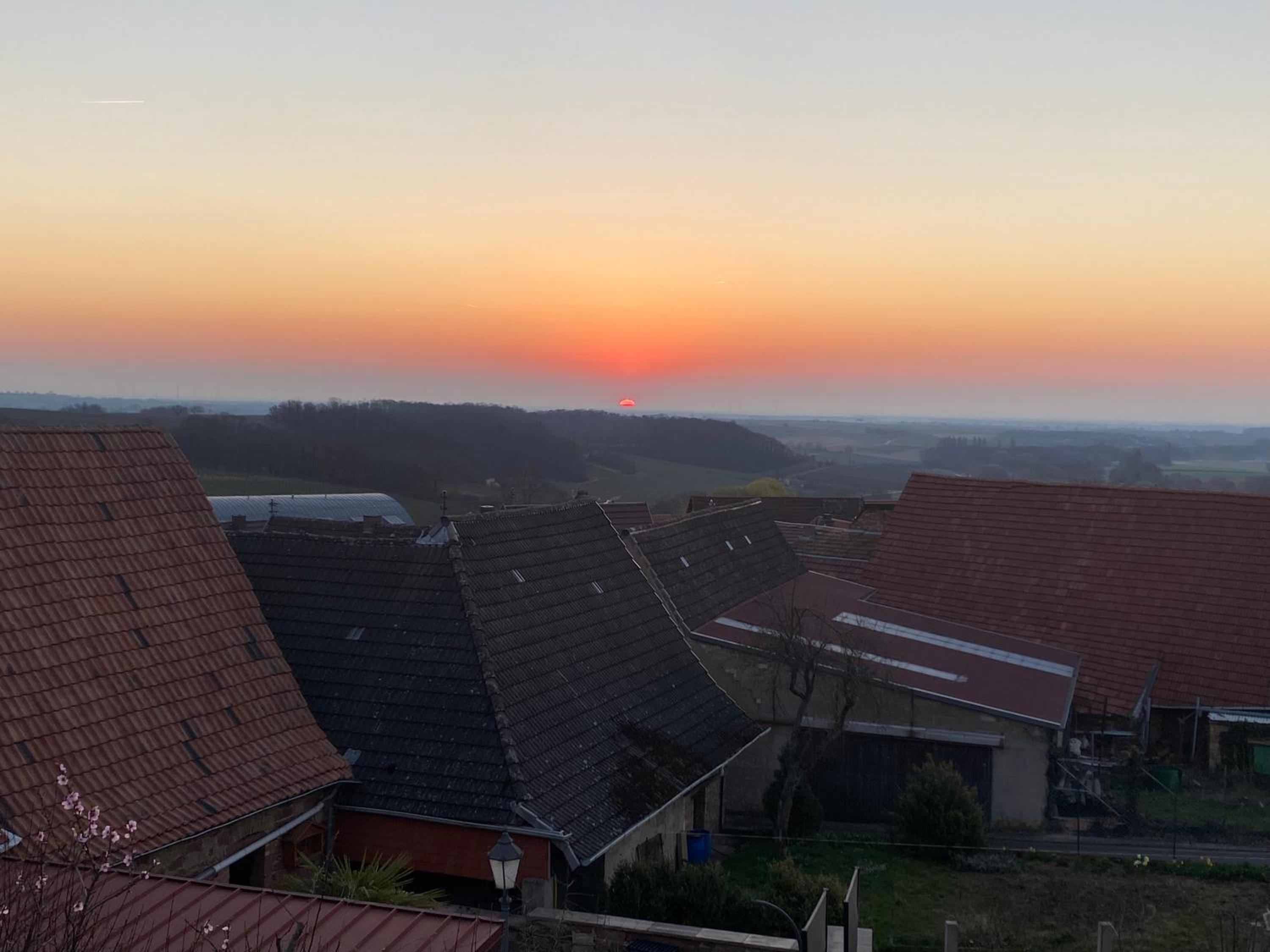 Atelier de Pfalz-Loftstyl mit Pfalzblick