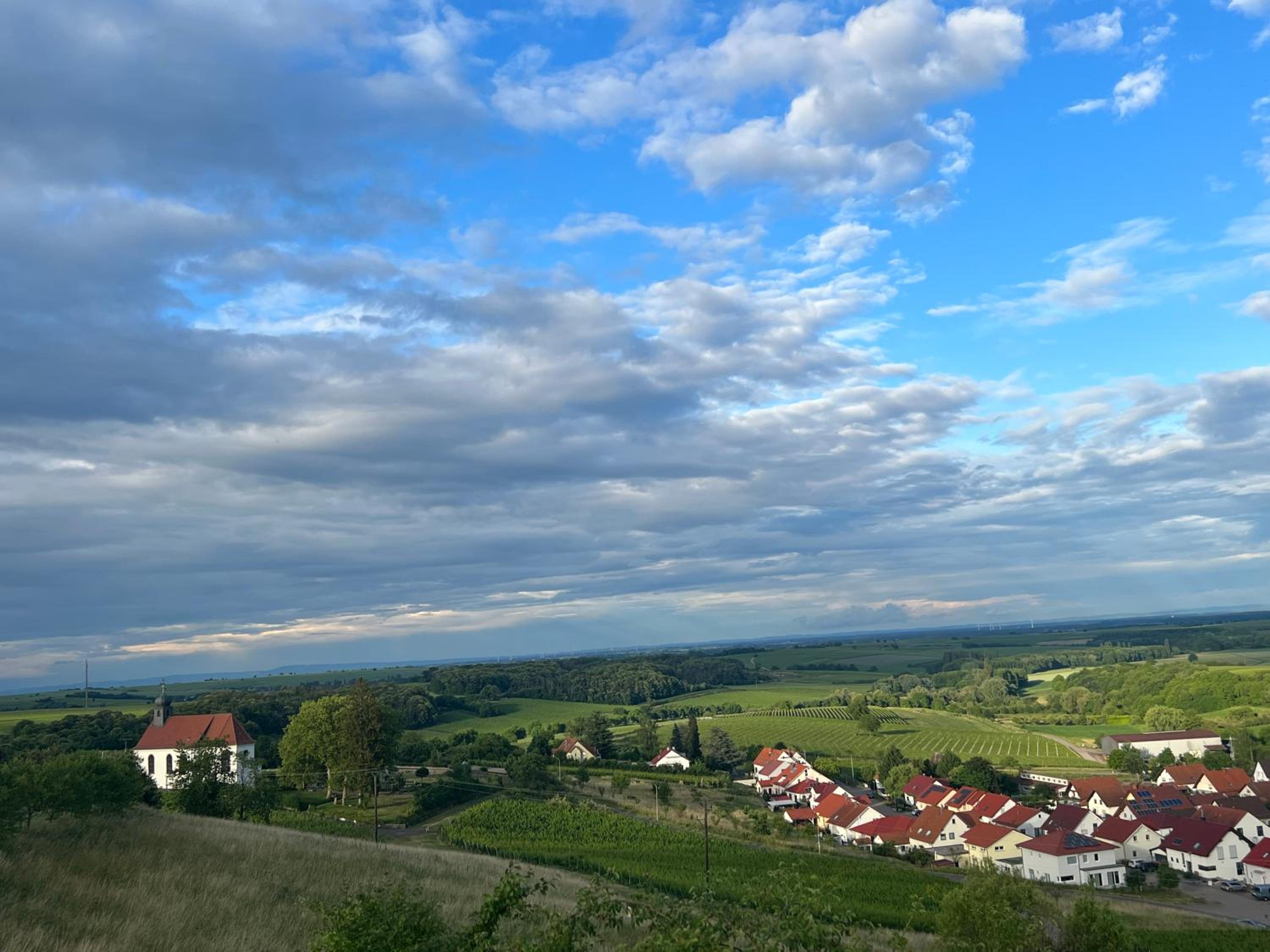 Atelier de Pfalz-Loftstyl mit Pfalzblick