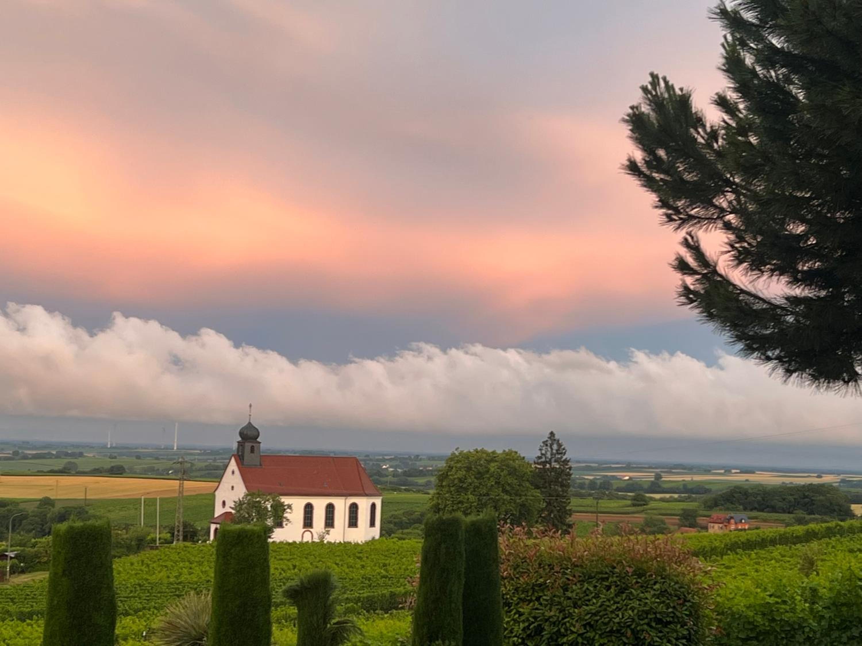 Atelier de Pfalz-Loftstyl mit Pfalzblick
