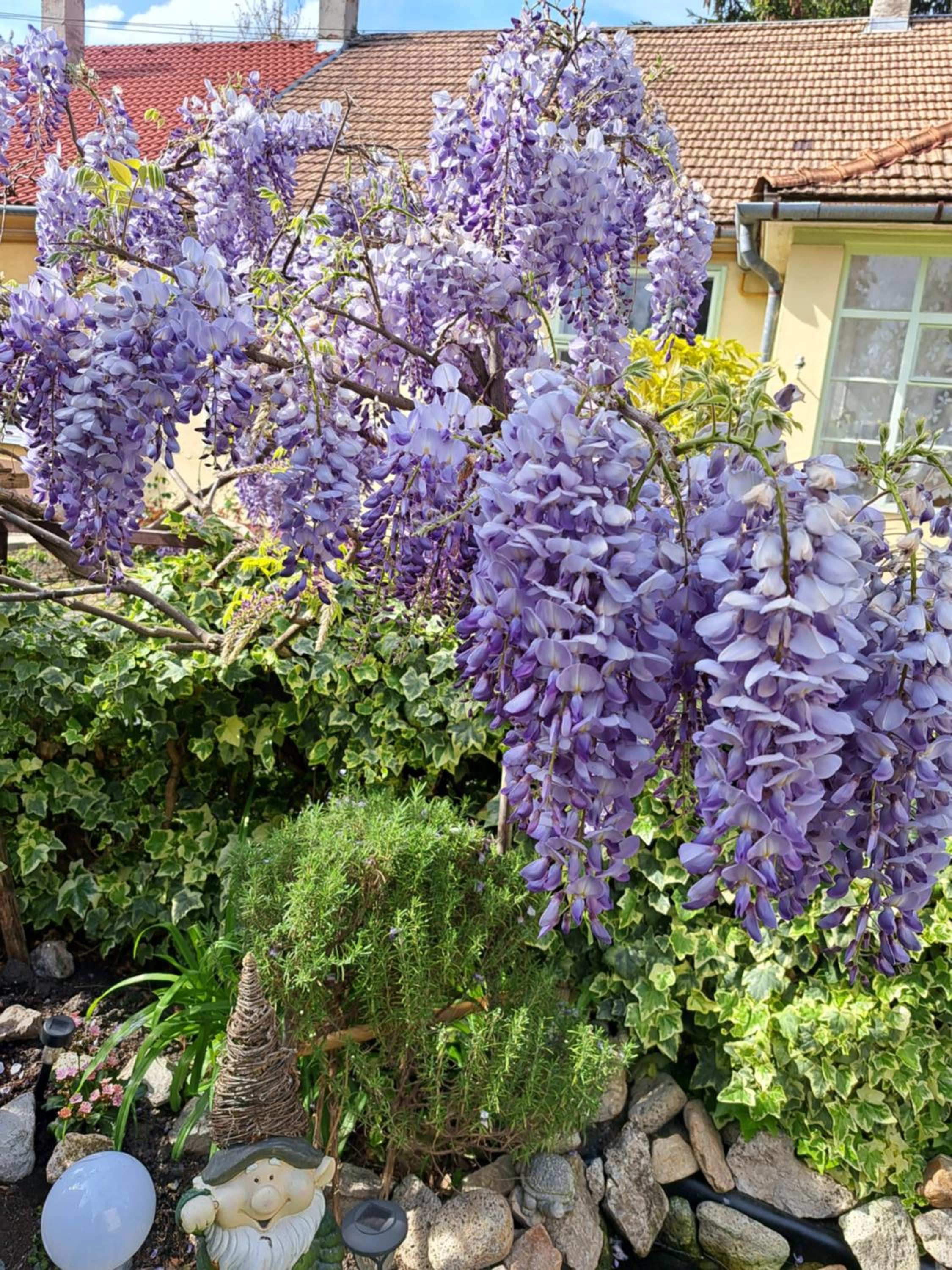 Manilla Vendégháza