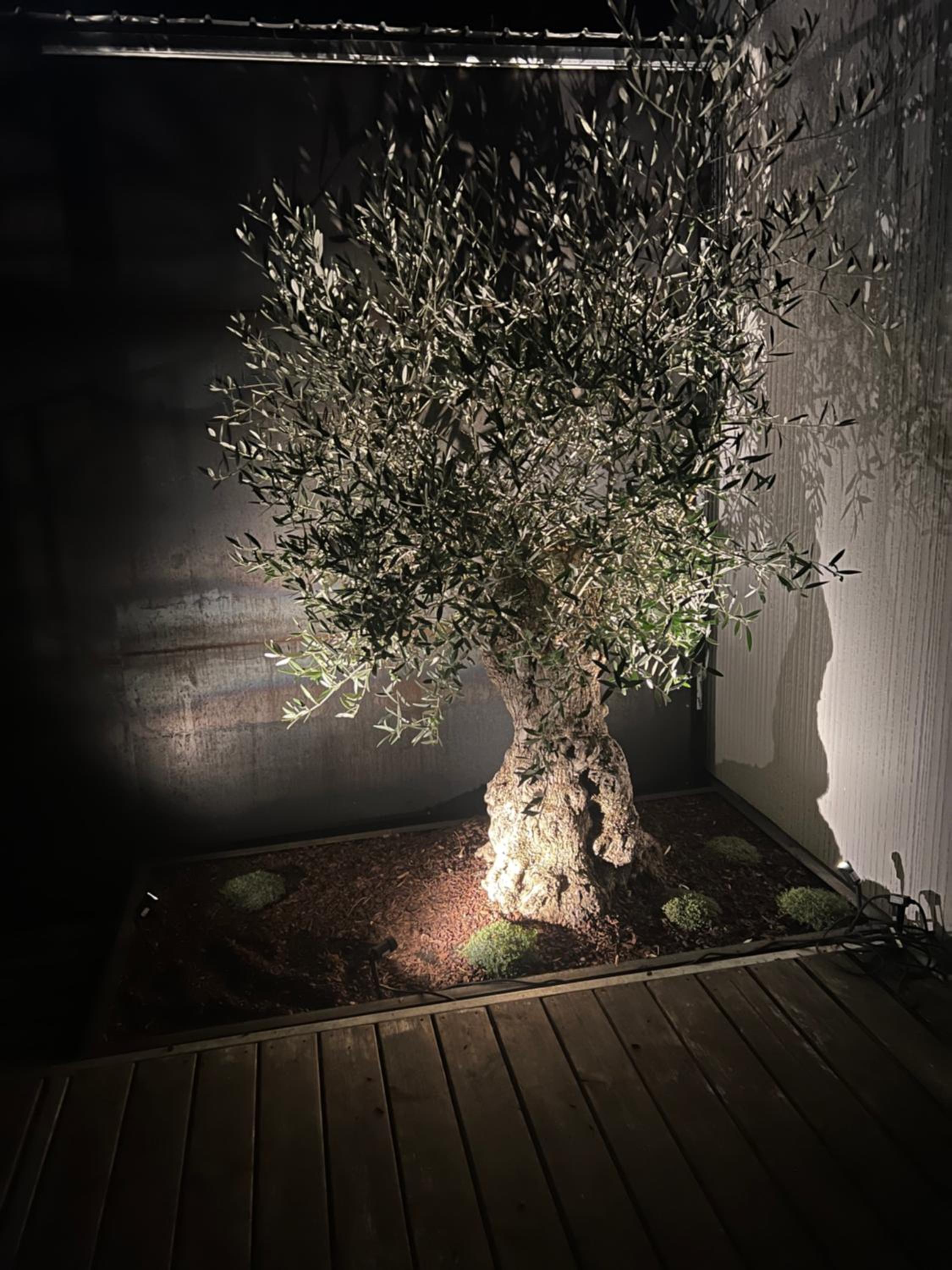 Atelier de Pfalz-Loftstyl mit Pfalzblick