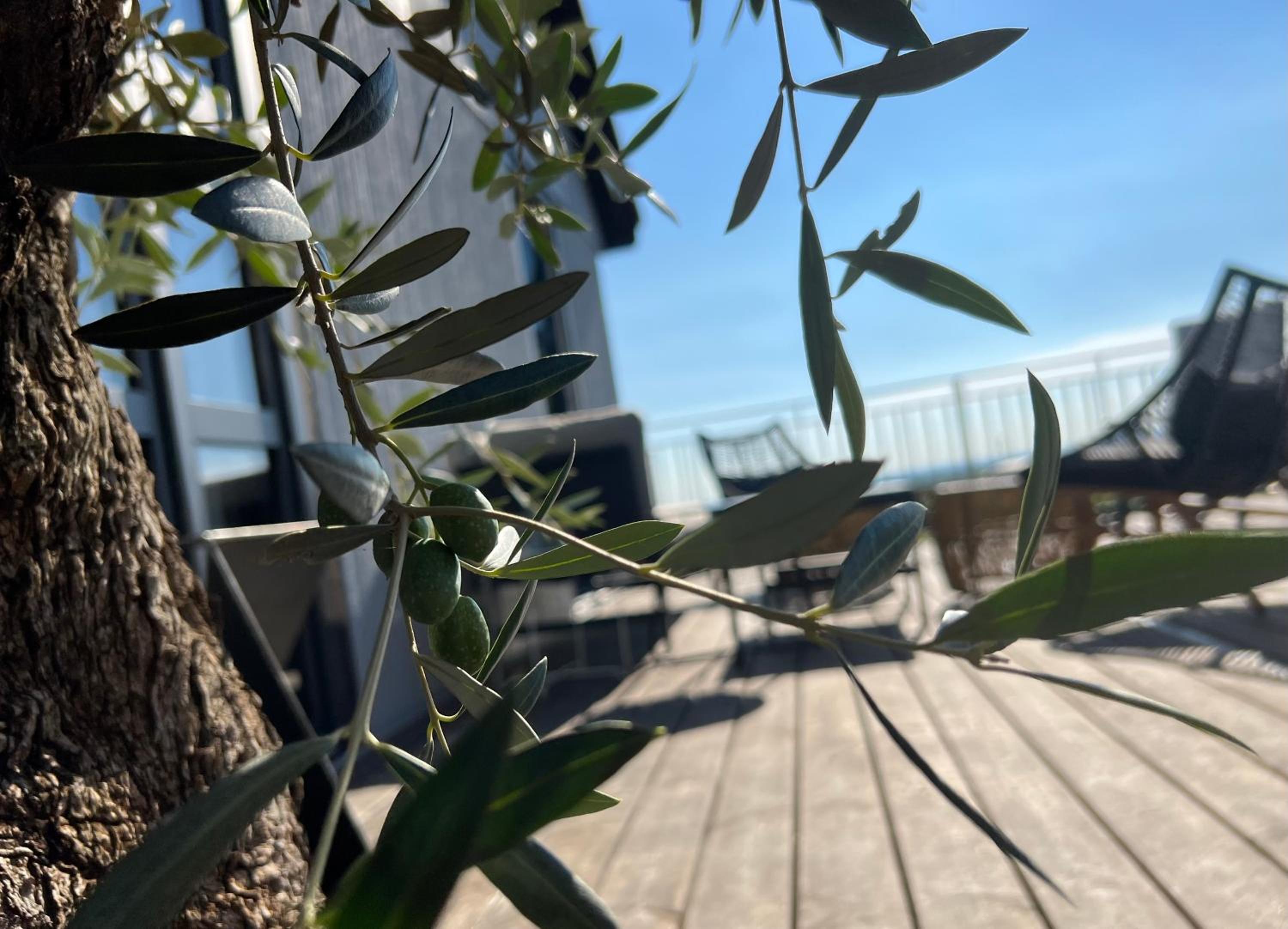 Atelier de Pfalz-Loftstyl mit Pfalzblick