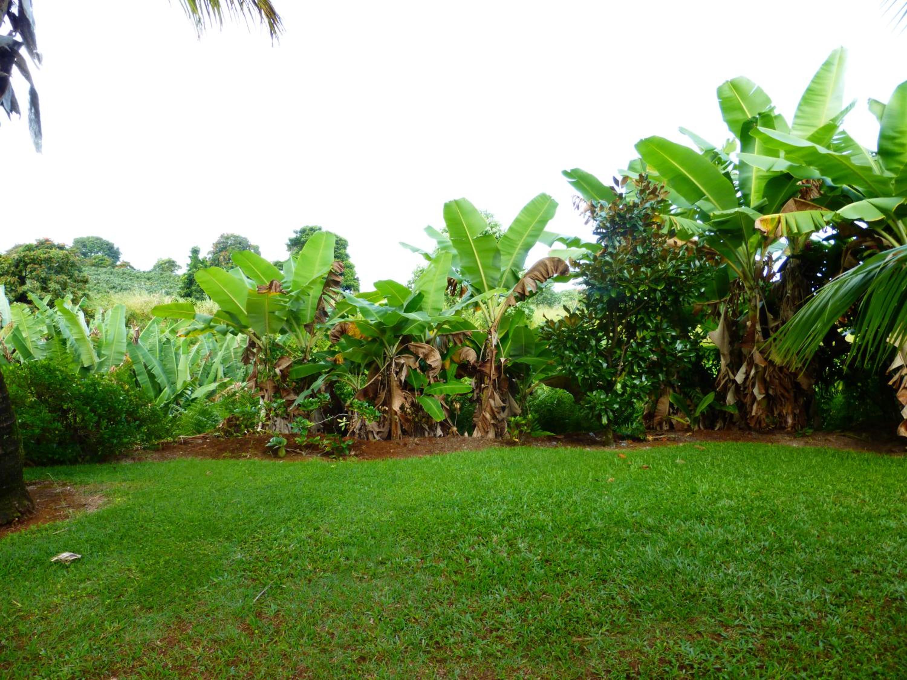 Island Goode's - Luxury Adult Only Accommodation near Hilo