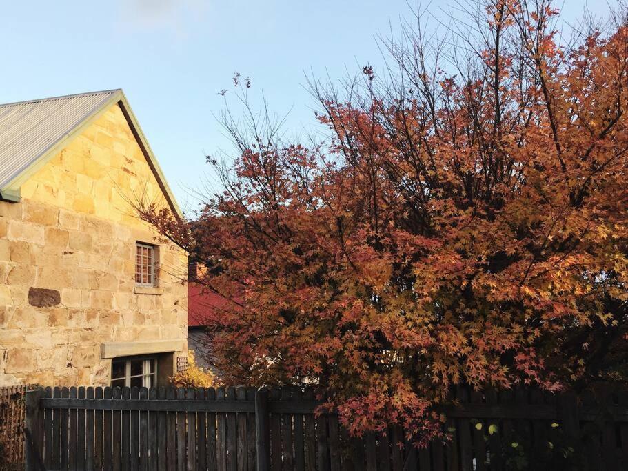 Macquarie Street Stable Hobart