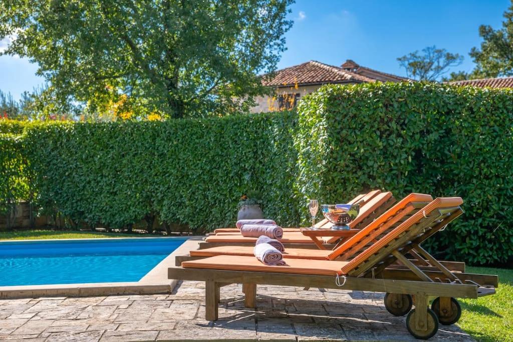 Villa Lunaria - Istrian Villa with pool view 5