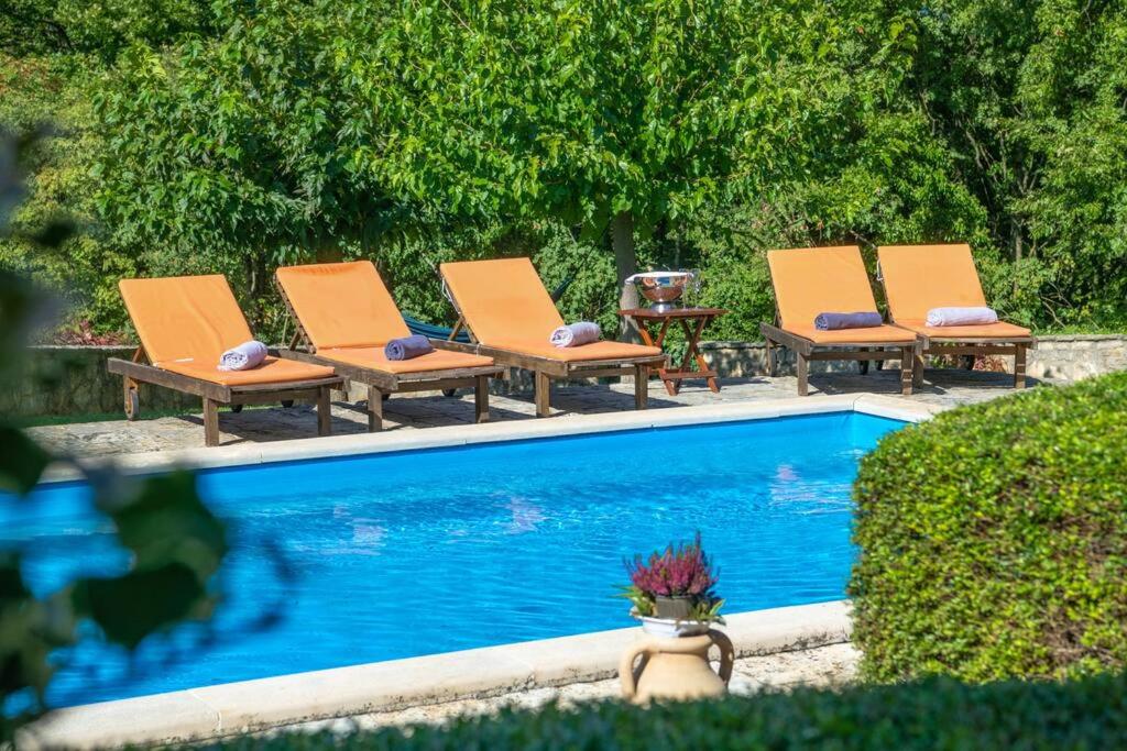 Villa Lunaria - Istrian Villa with pool view 4