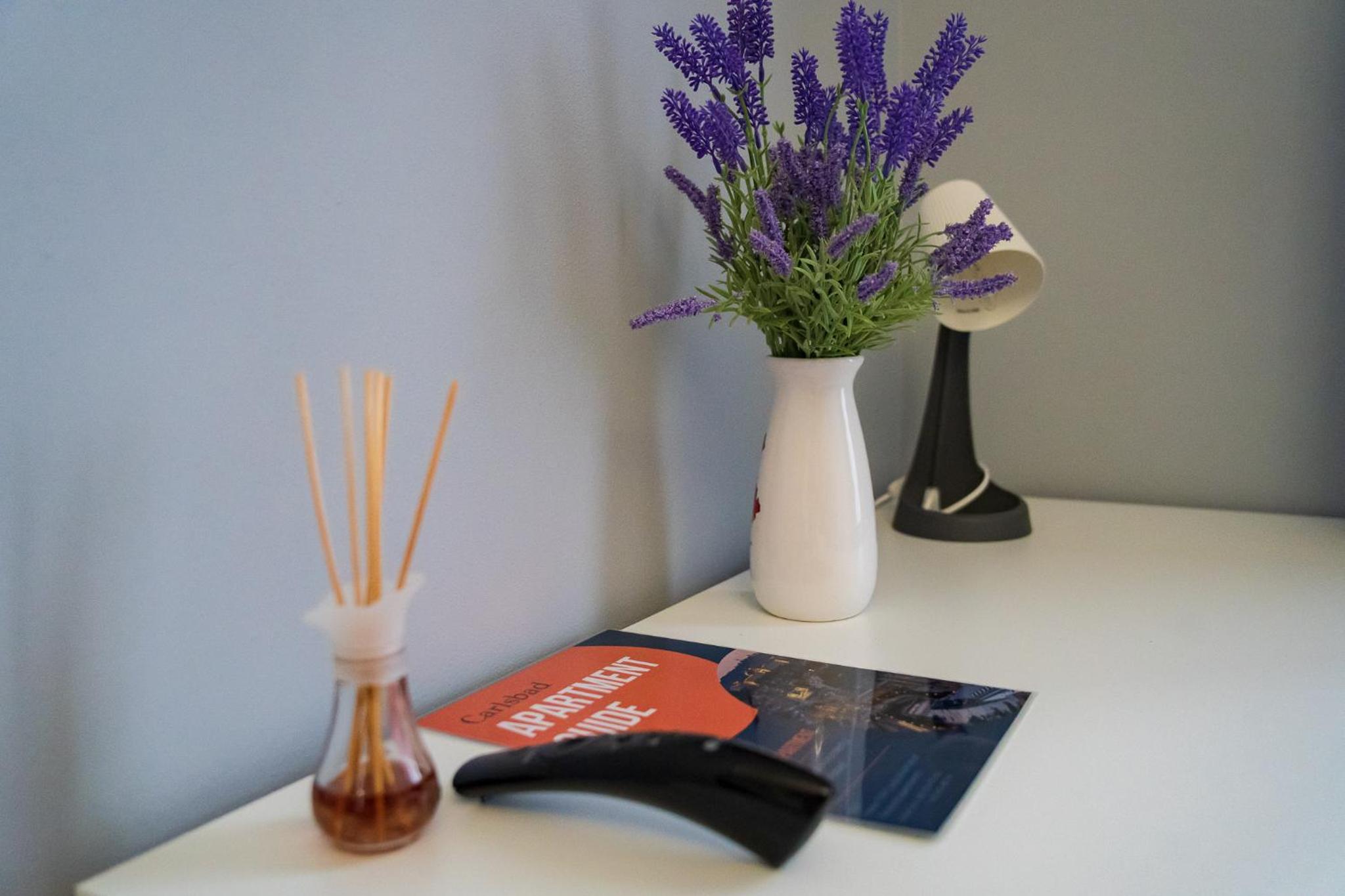 Top class apartments in Carlsbad Bulharska street