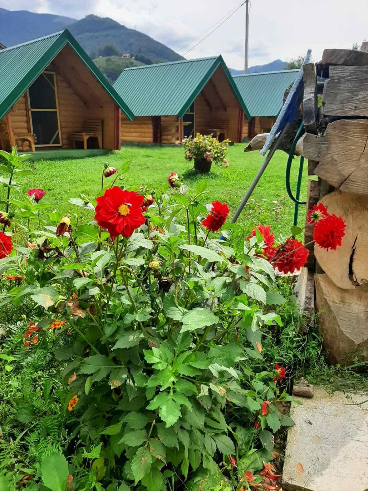 Konaci Očeva Zemlja Vikendica i Bungalovi view 4