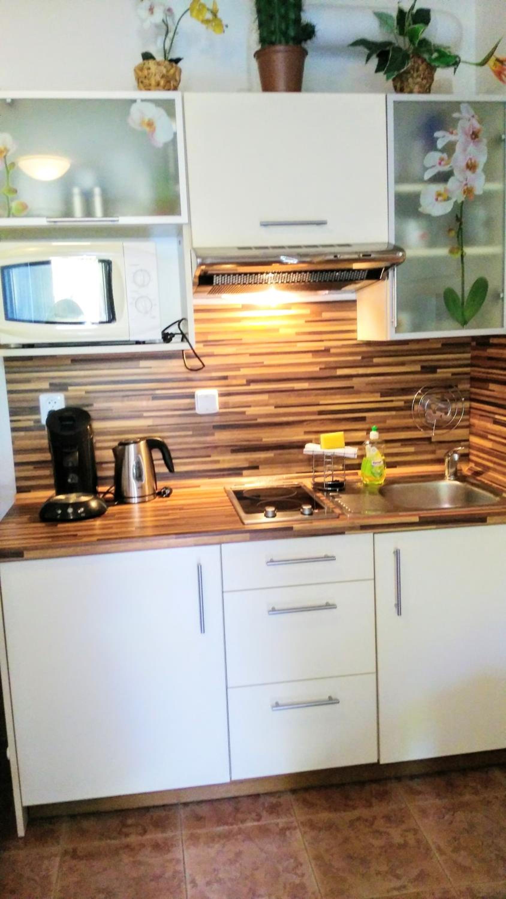 Apartman LEO Nr. 8 Lipno nad Vltavou