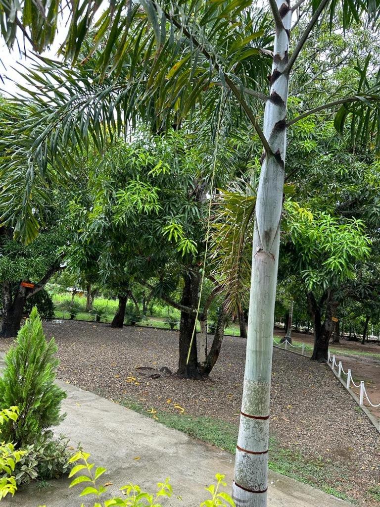 Cabaña Villa Mary-Aguachica