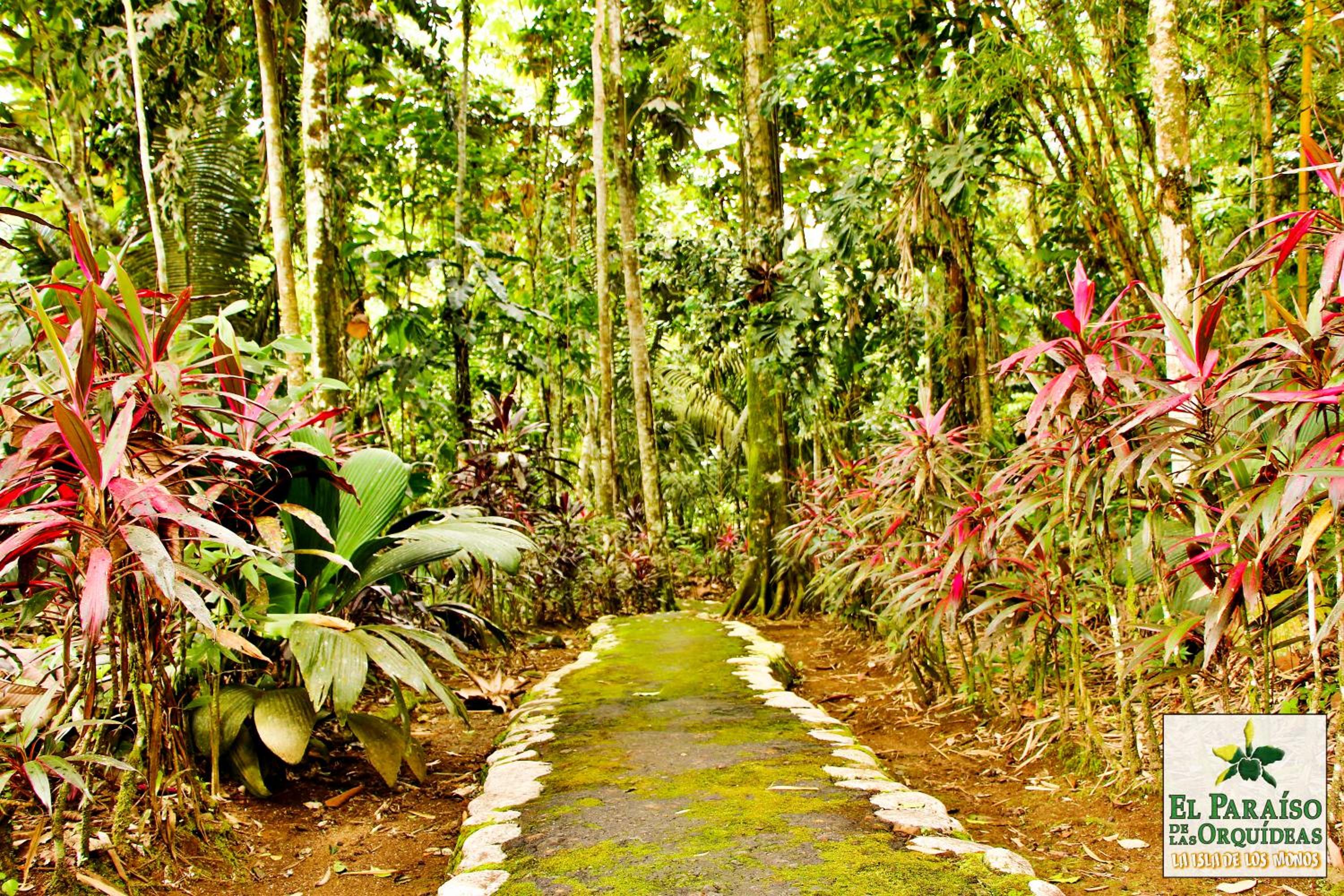 Hosteria El Paraiso de las Orquideas