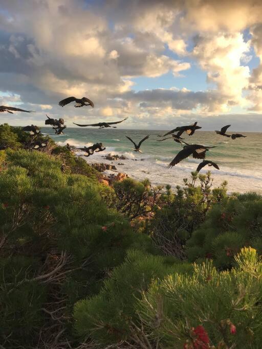 Eagle Bay Holiday Home very close to beach