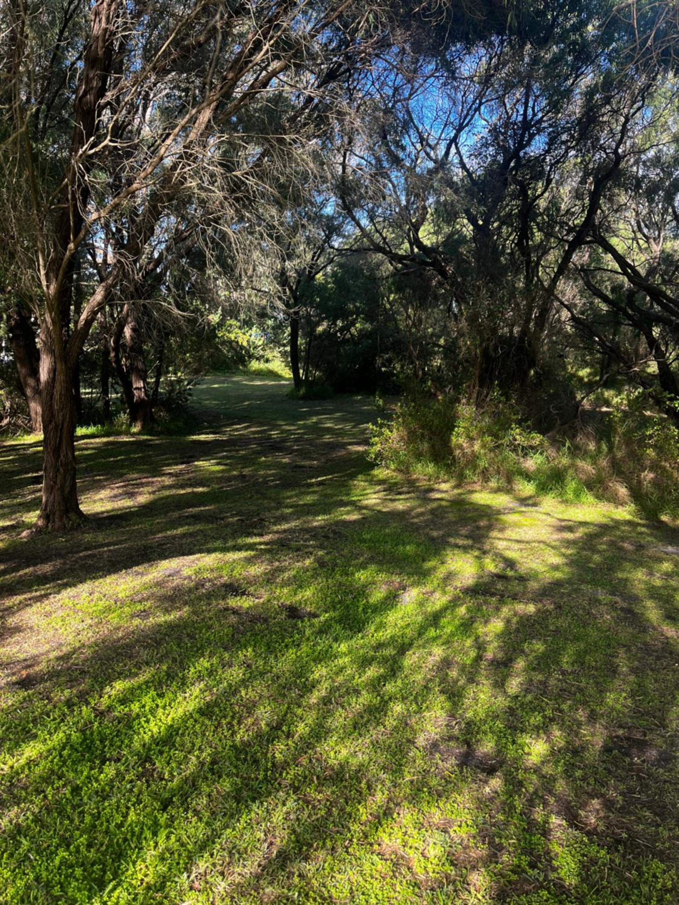 Albany Vacations - Emu Point Motel - Property Image 1