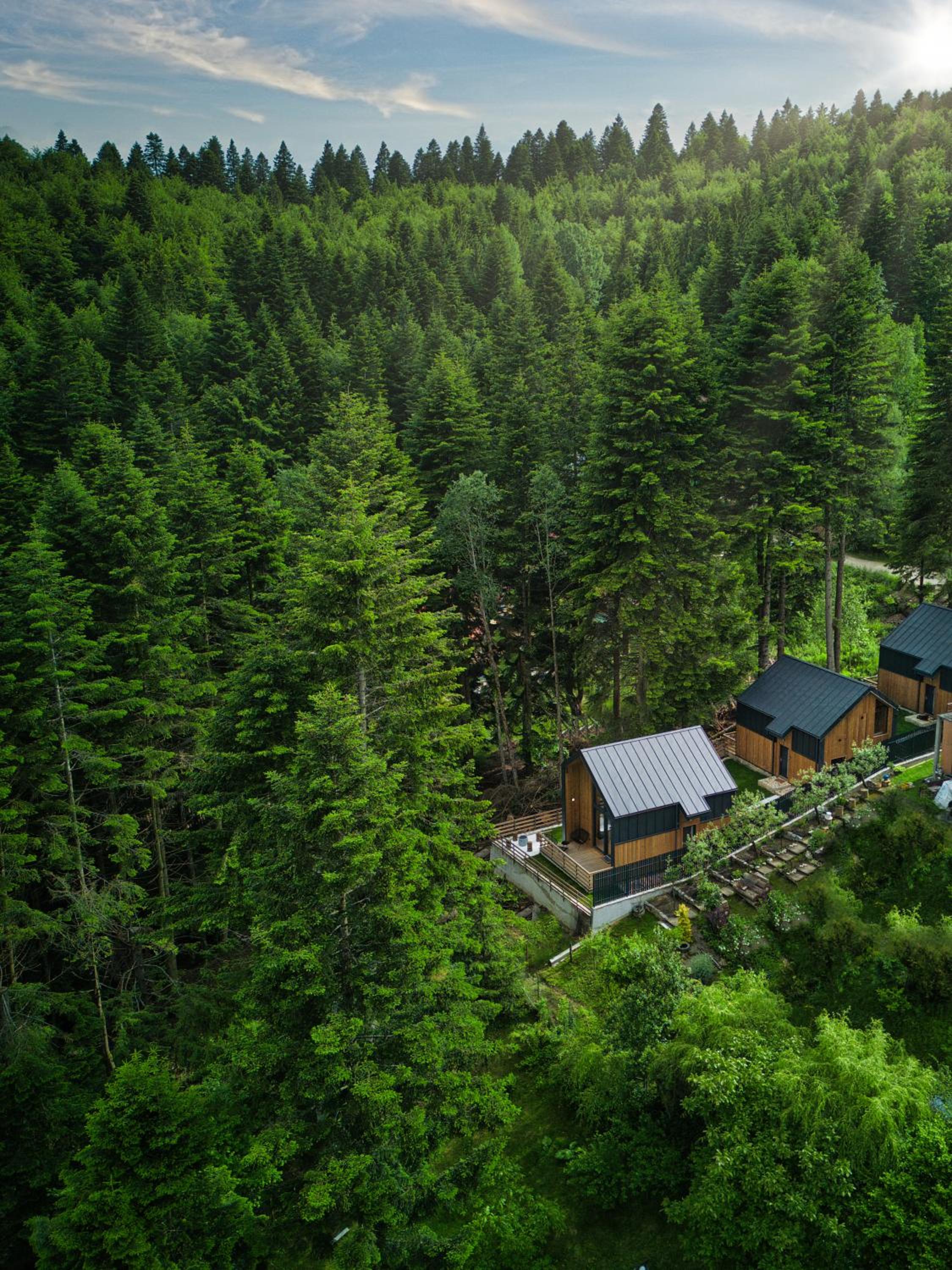 Norway Cabins Sinaia Romantic Nordic Escape and Fire Pit view 2