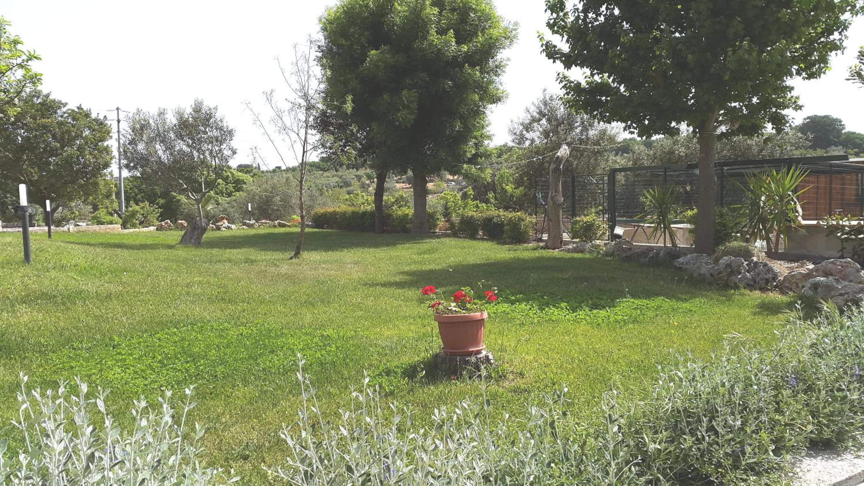 Photo 31