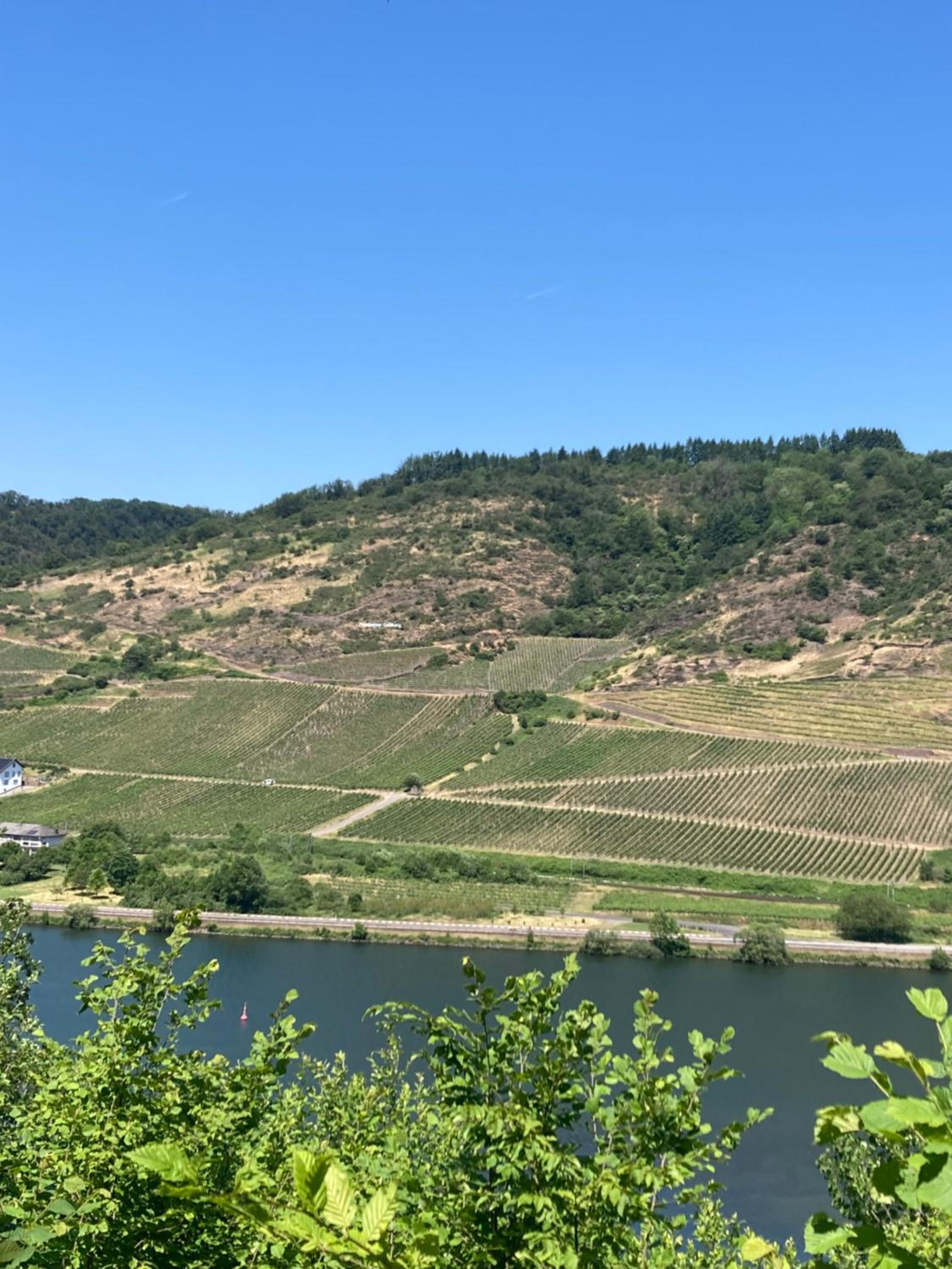 Ferienhaus Goldstück wohnen im Weinberg