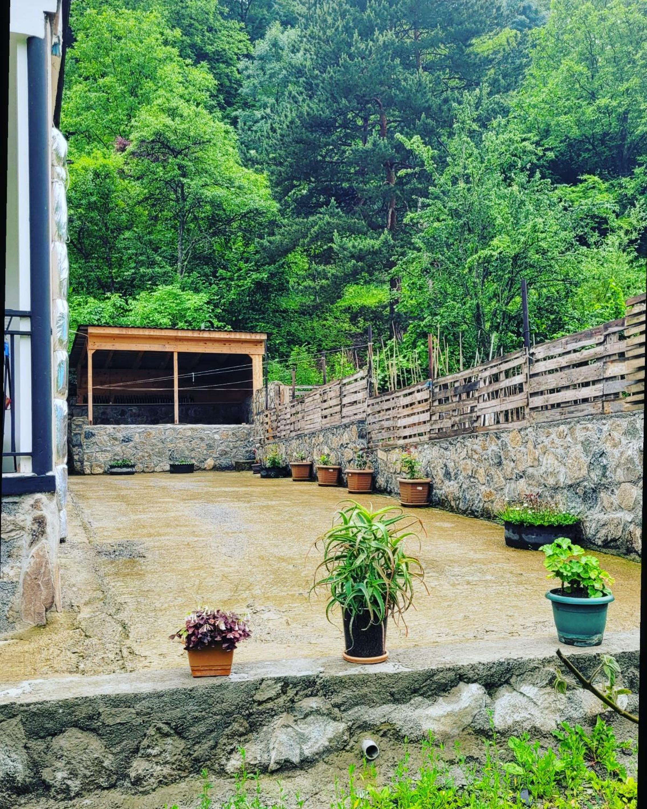 Family hotel mountain panorama