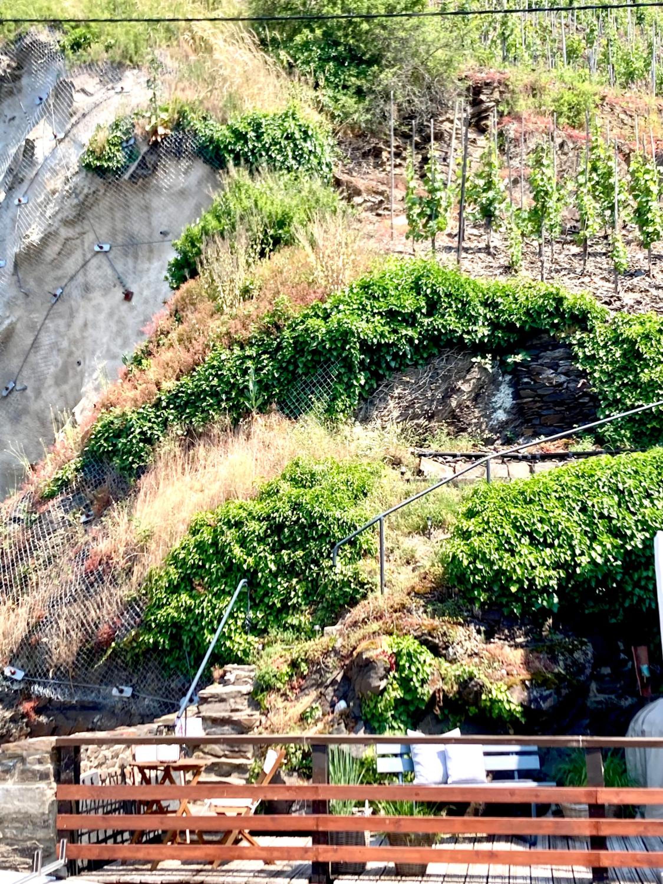 Ferienhaus Goldstück wohnen im Weinberg