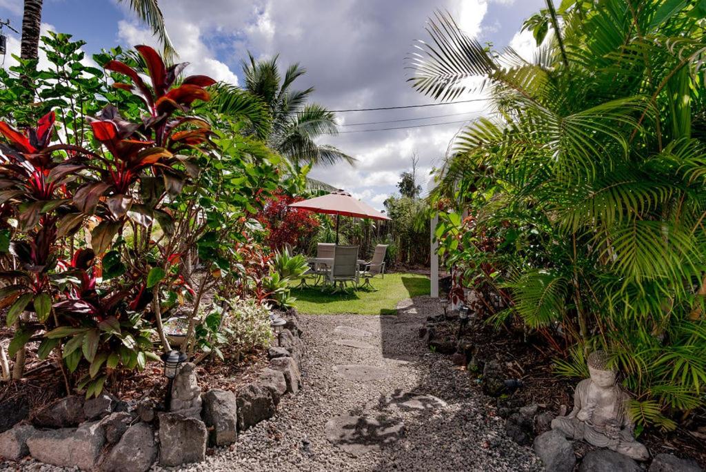 Pahoa Paradise Palms